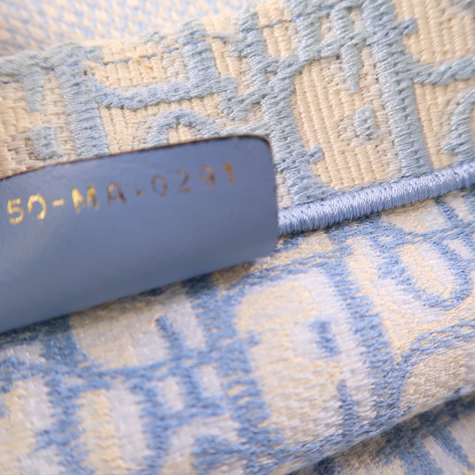 Dior CD Book Tote Medium Tote Bag Canvas Light Blue