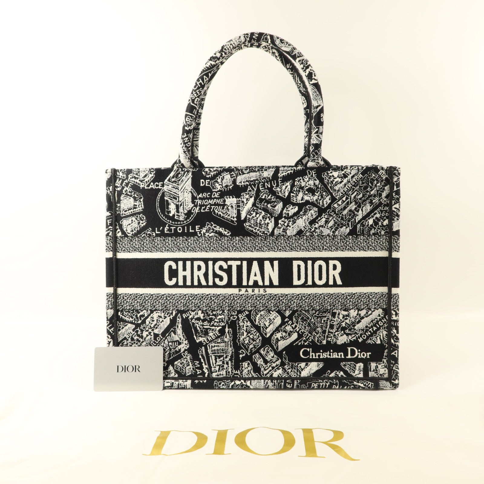 Dior 帆布Book Tote Medium手挽袋