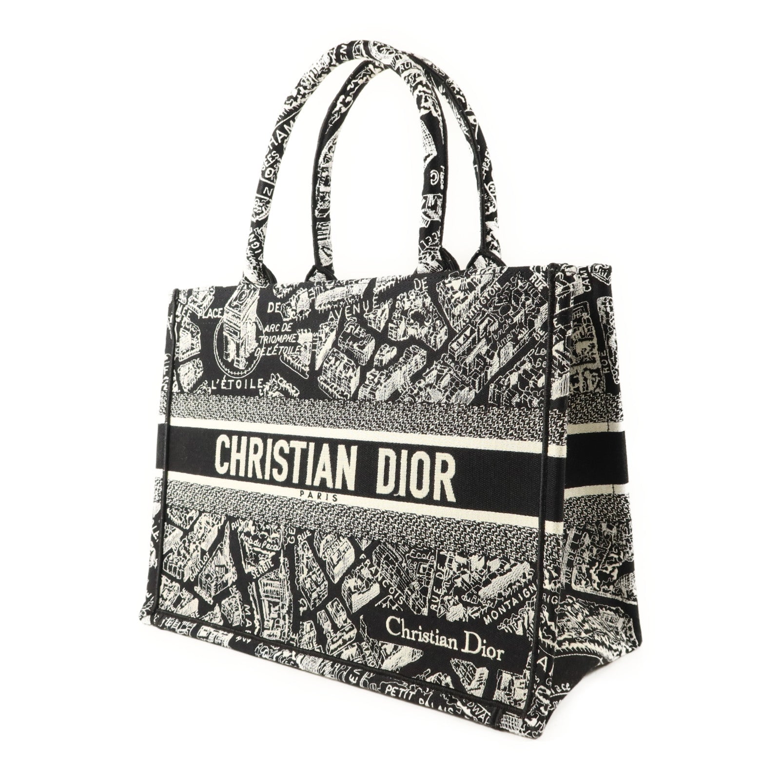 Dior 帆布Book Tote Medium手挽袋