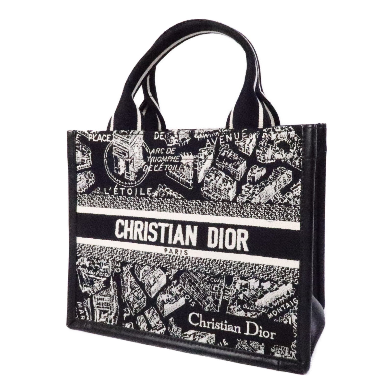 Dior 帆布Book Tote Small手挽袋