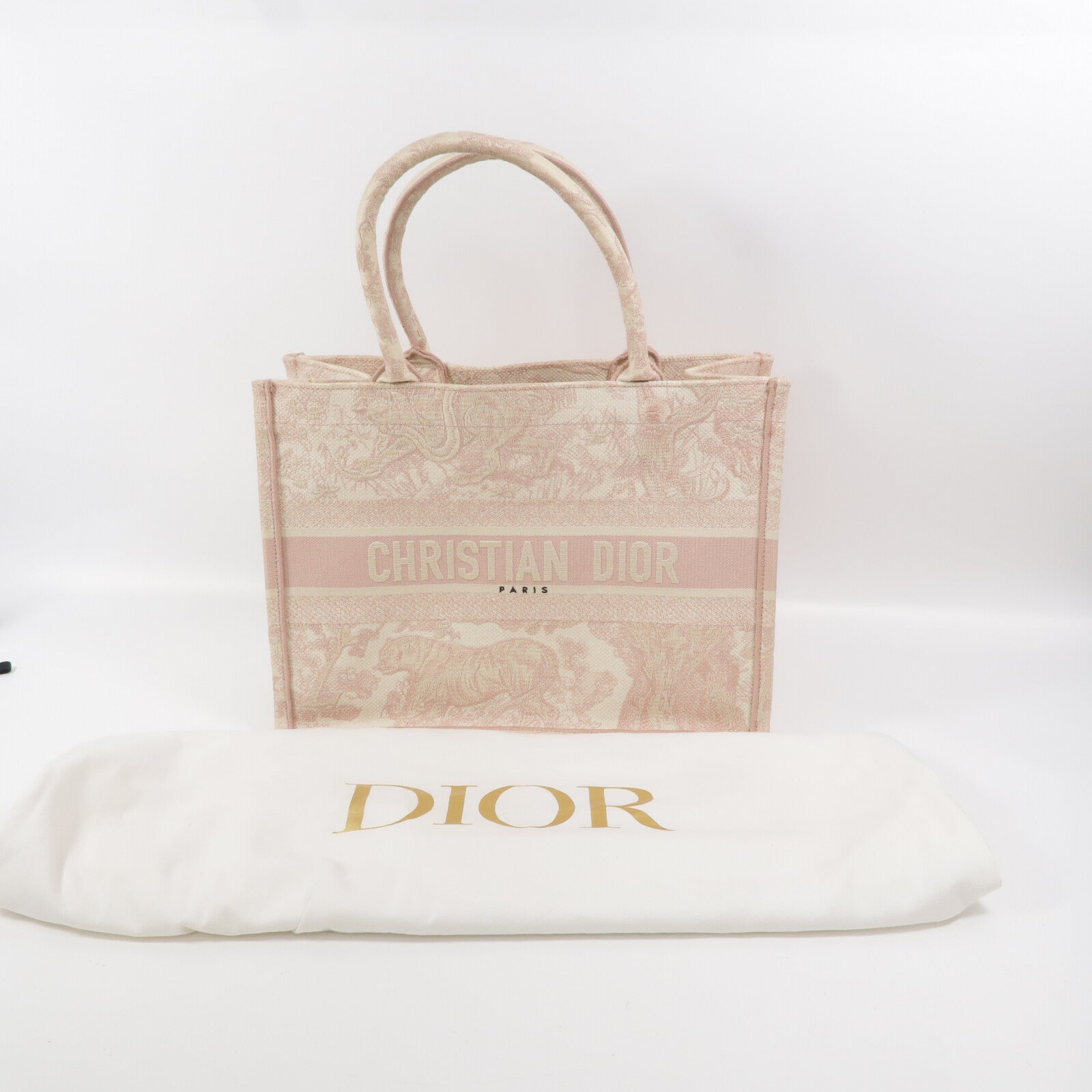 Dior 帆布Book Tote Medium手挽袋