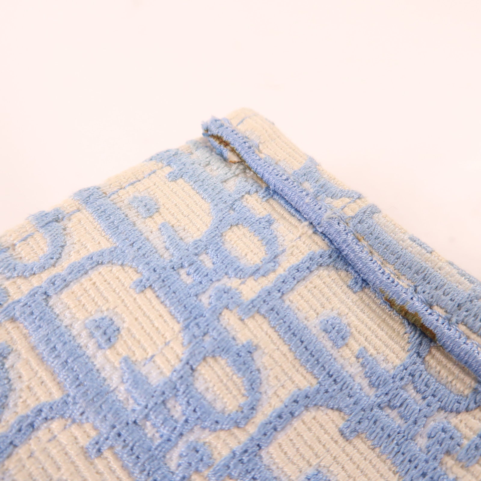 Dior CD Book Tote Medium Tote Bag Canvas Light Blue