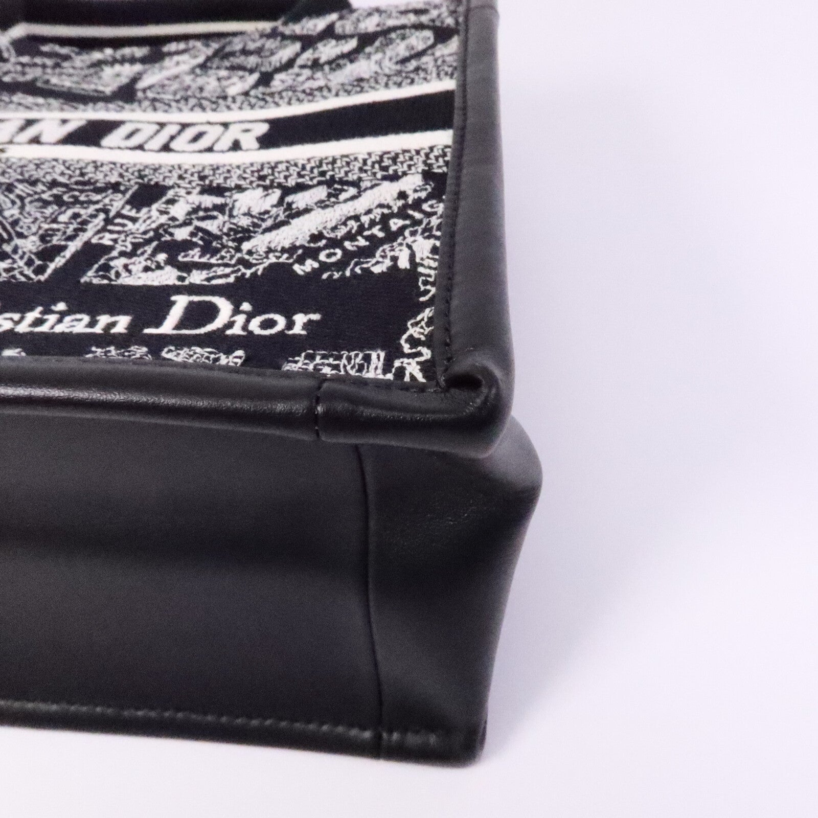 Dior 帆布Book Tote Small手挽袋