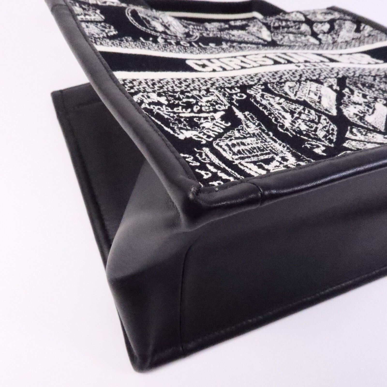 Dior 帆布Book Tote Small手挽袋