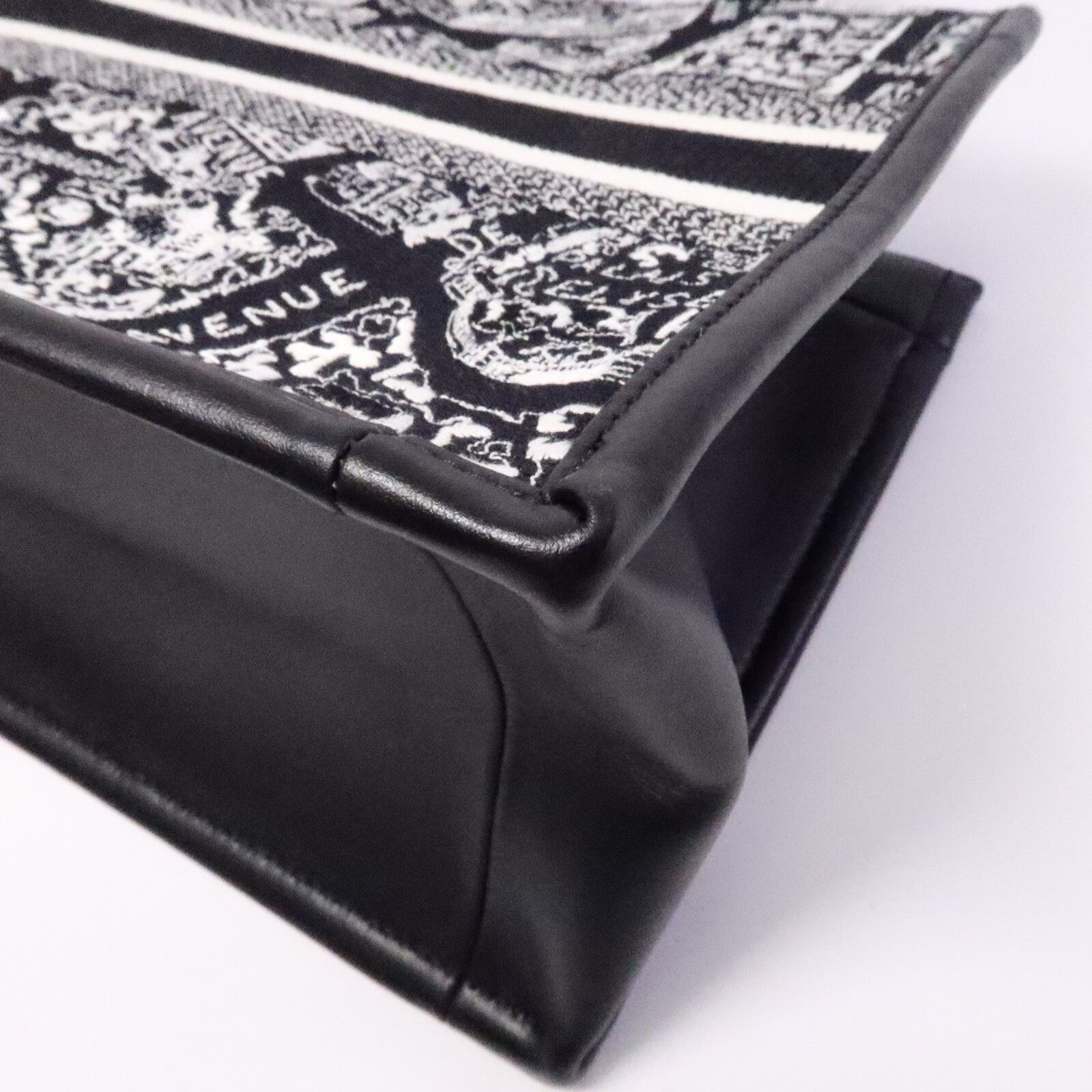 Dior 帆布Book Tote Small手挽袋