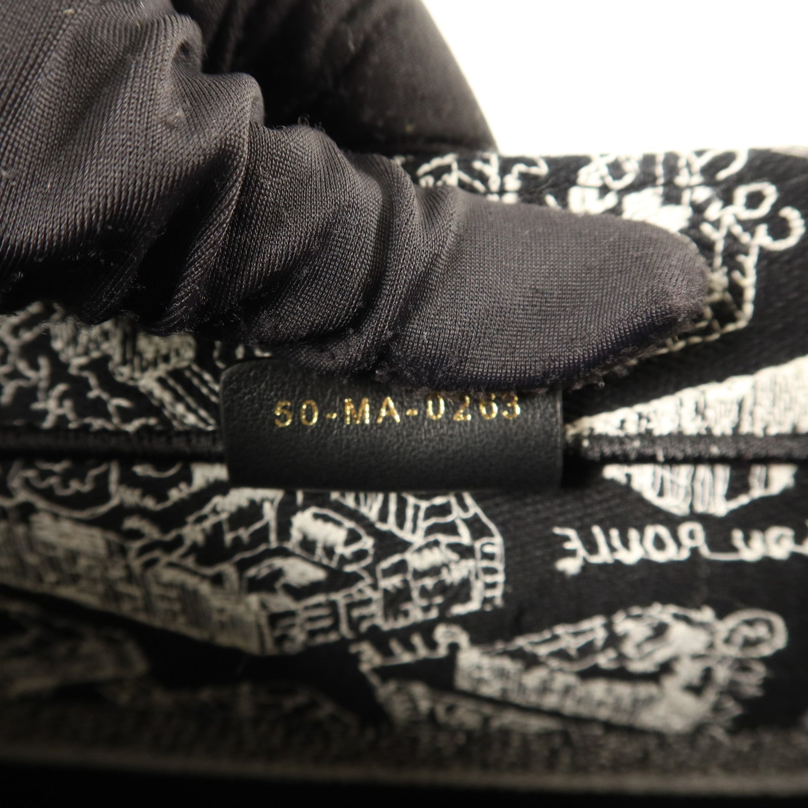 Dior 帆布Book Tote Medium手挽袋