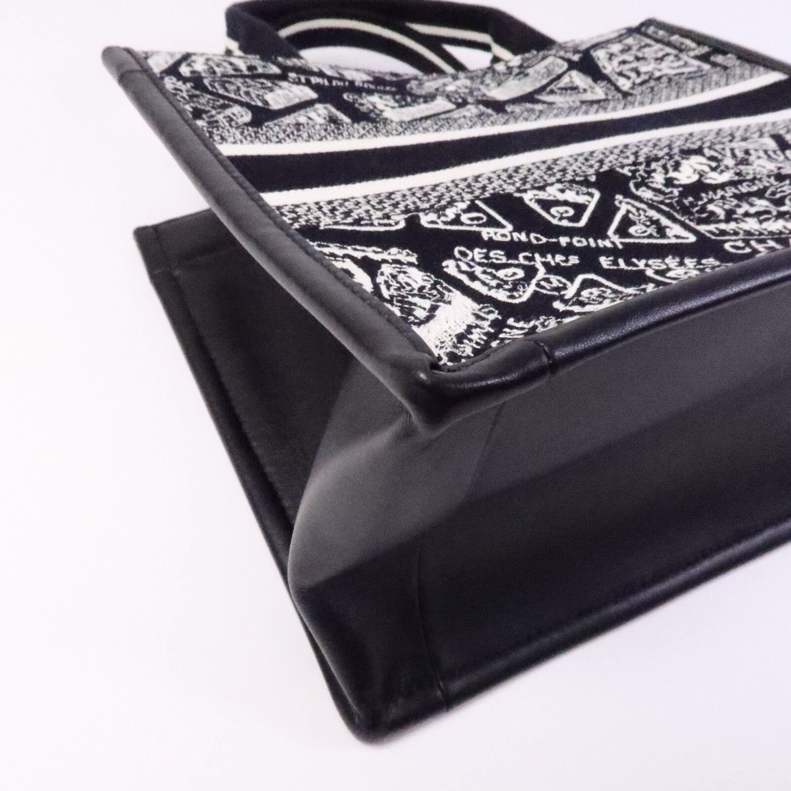 Dior 帆布Book Tote Small手挽袋