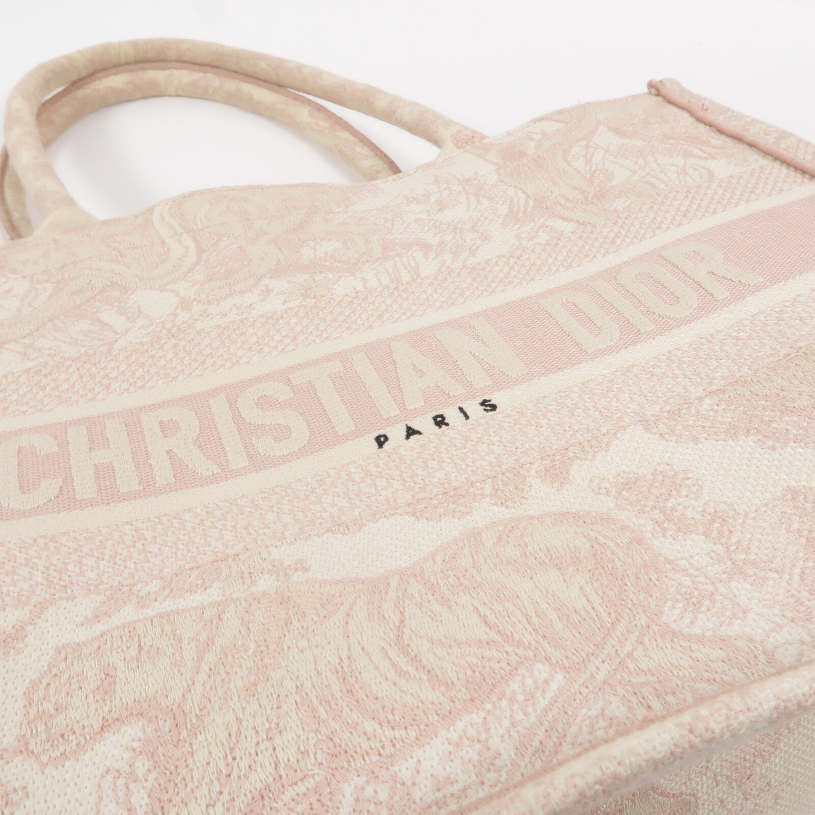 Dior 帆布Book Tote Medium手挽袋
