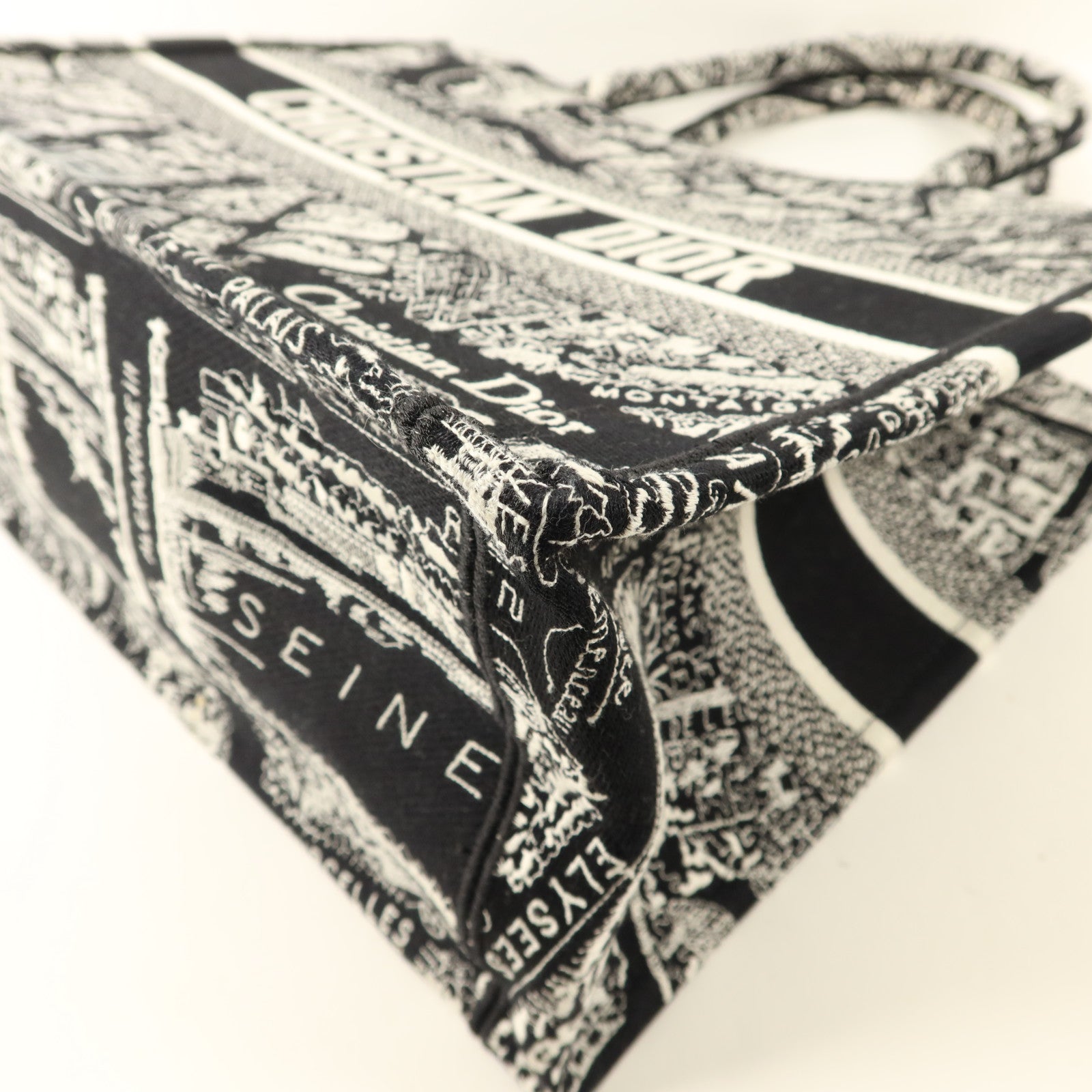 Dior 帆布Book Tote Medium手挽袋