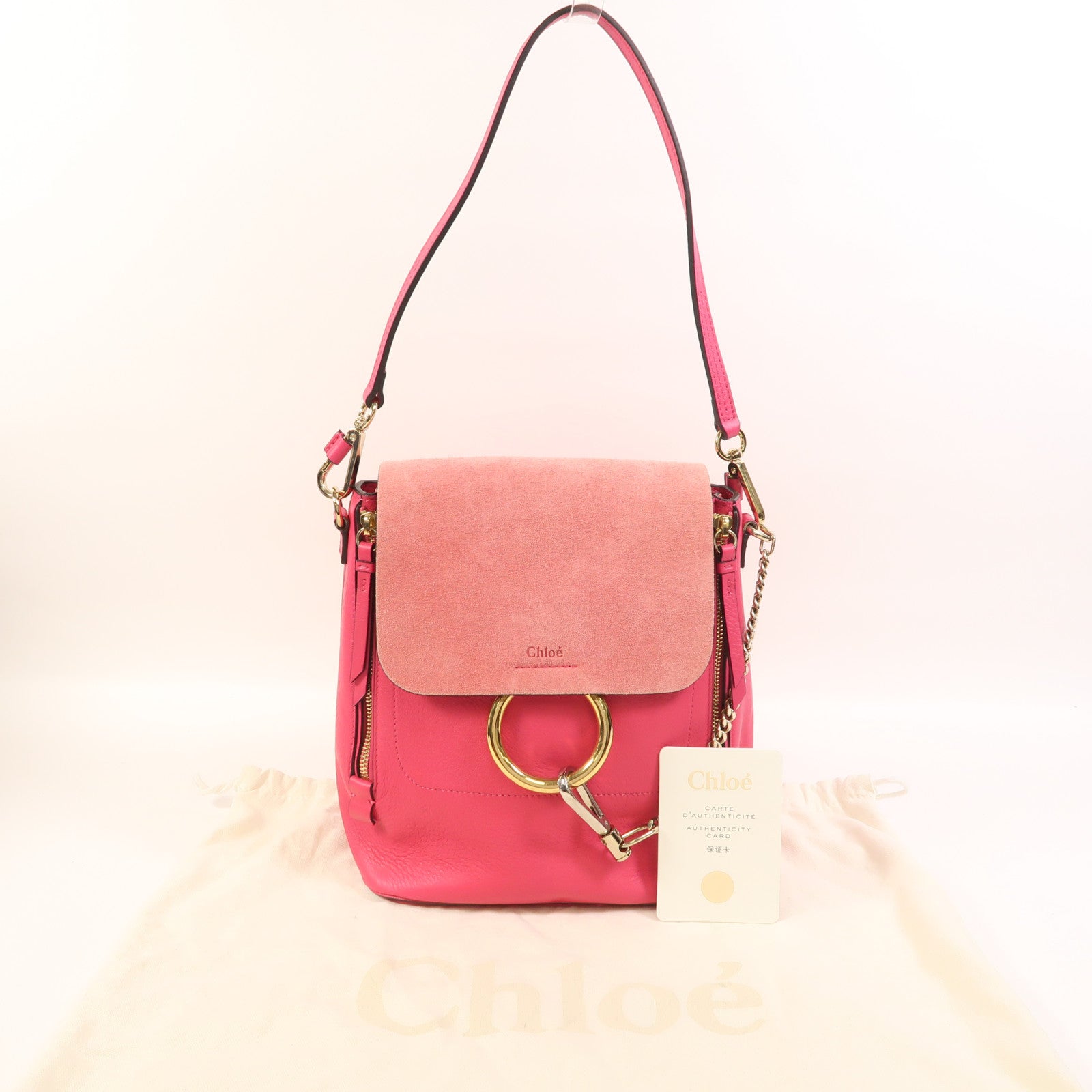Chloe 牛皮皮革Faye Backpack背包