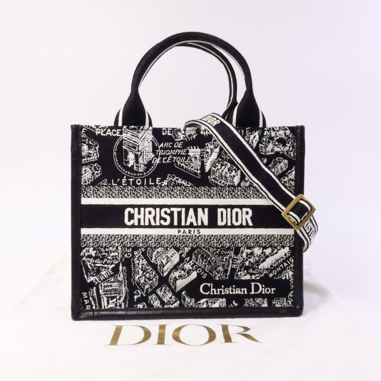 Dior 帆布Book Tote Small手挽袋