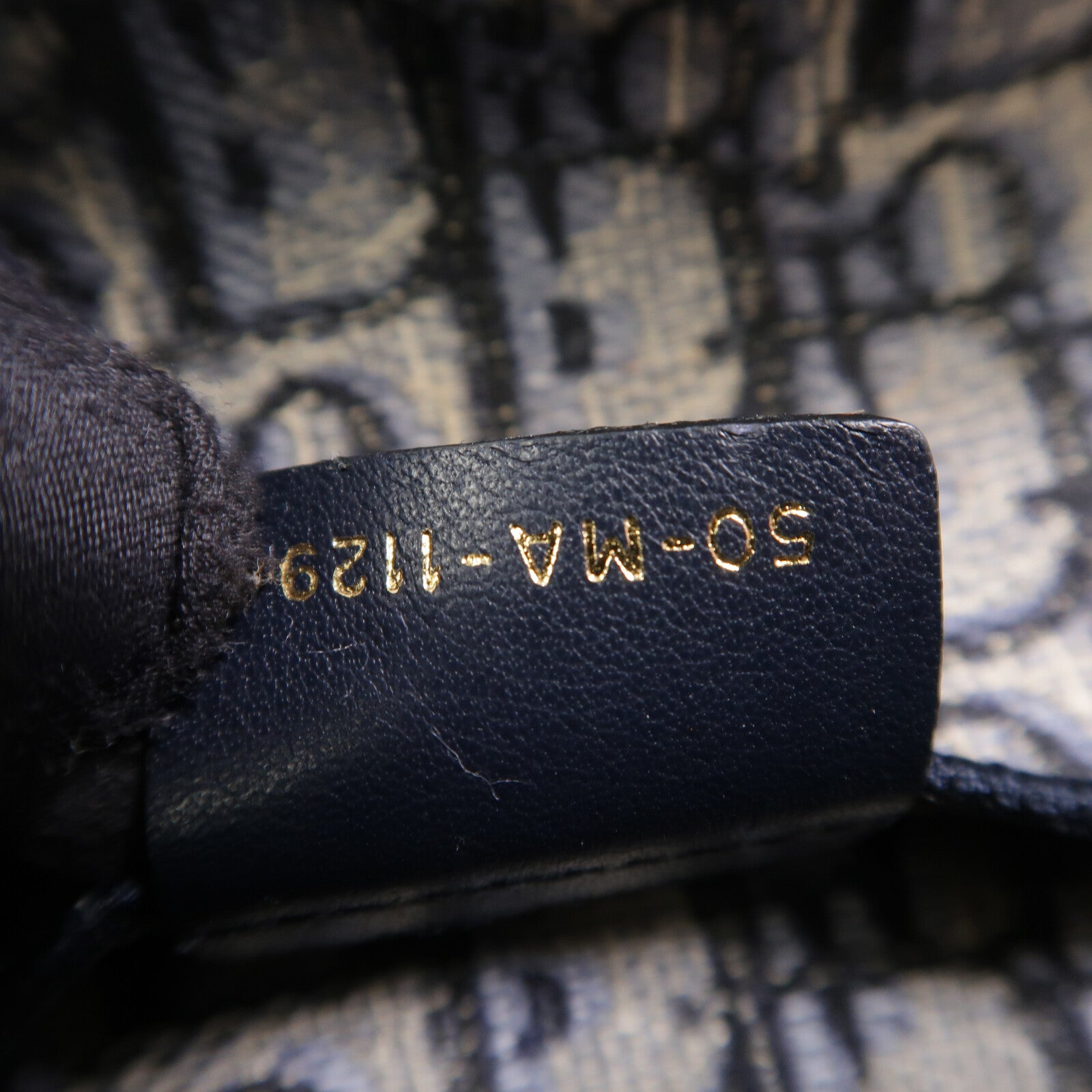 Dior 帆布Saddle Slim Pouch肩背袋