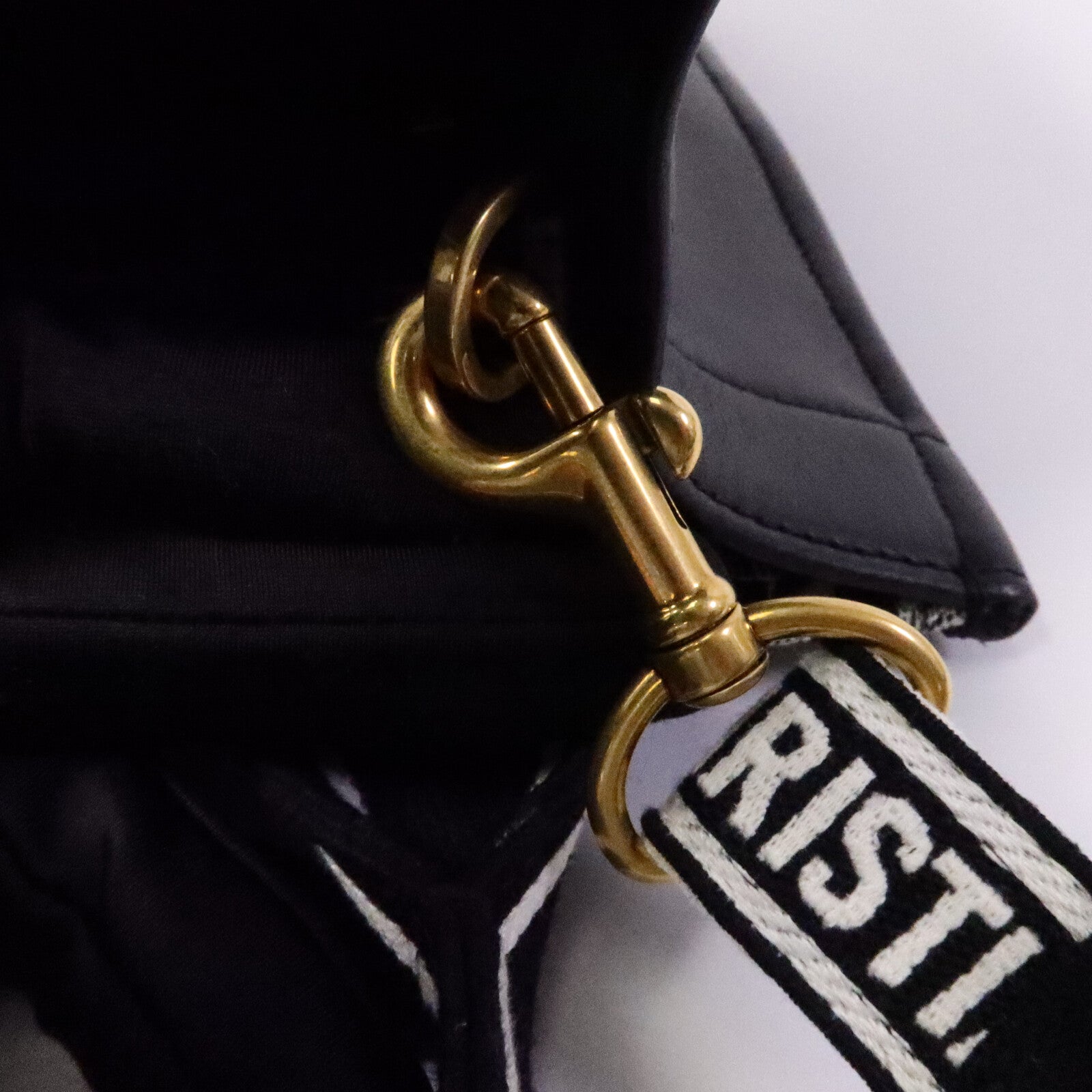 Dior 帆布Book Tote Small手挽袋