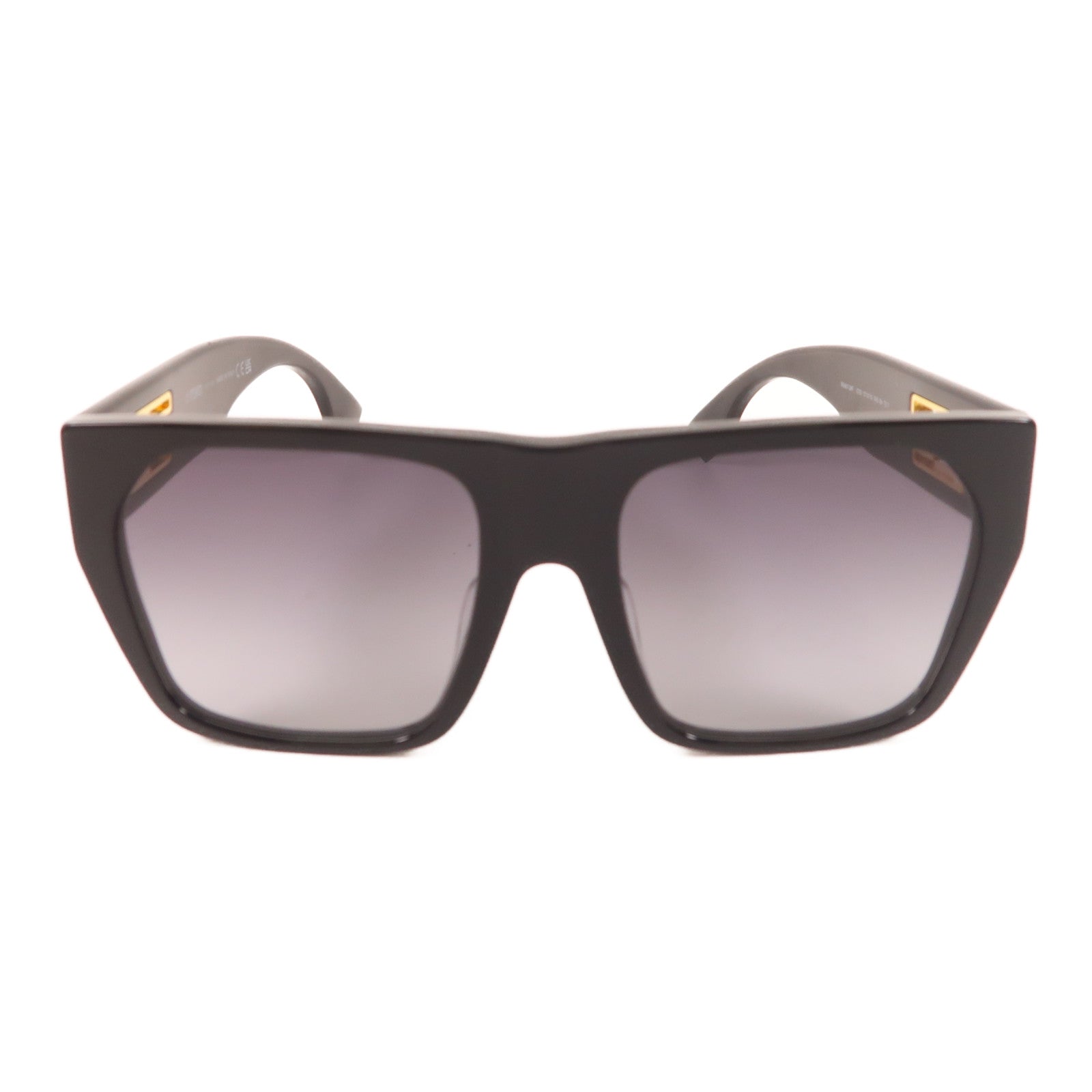 FENDI PVC Sunglasses太陽眼鏡