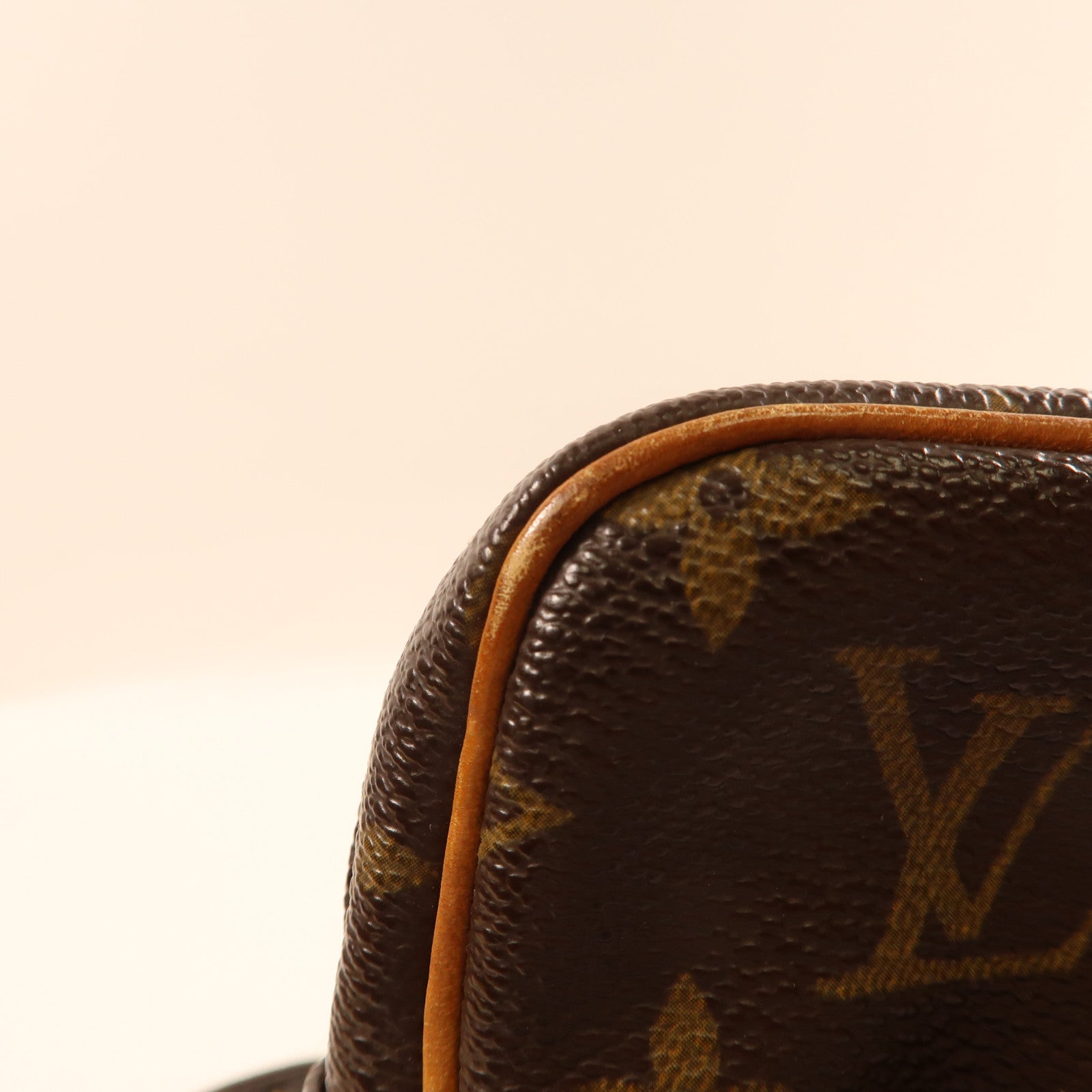 LOUIS VUITTON Monogram Danube金扣肩背袋啡色