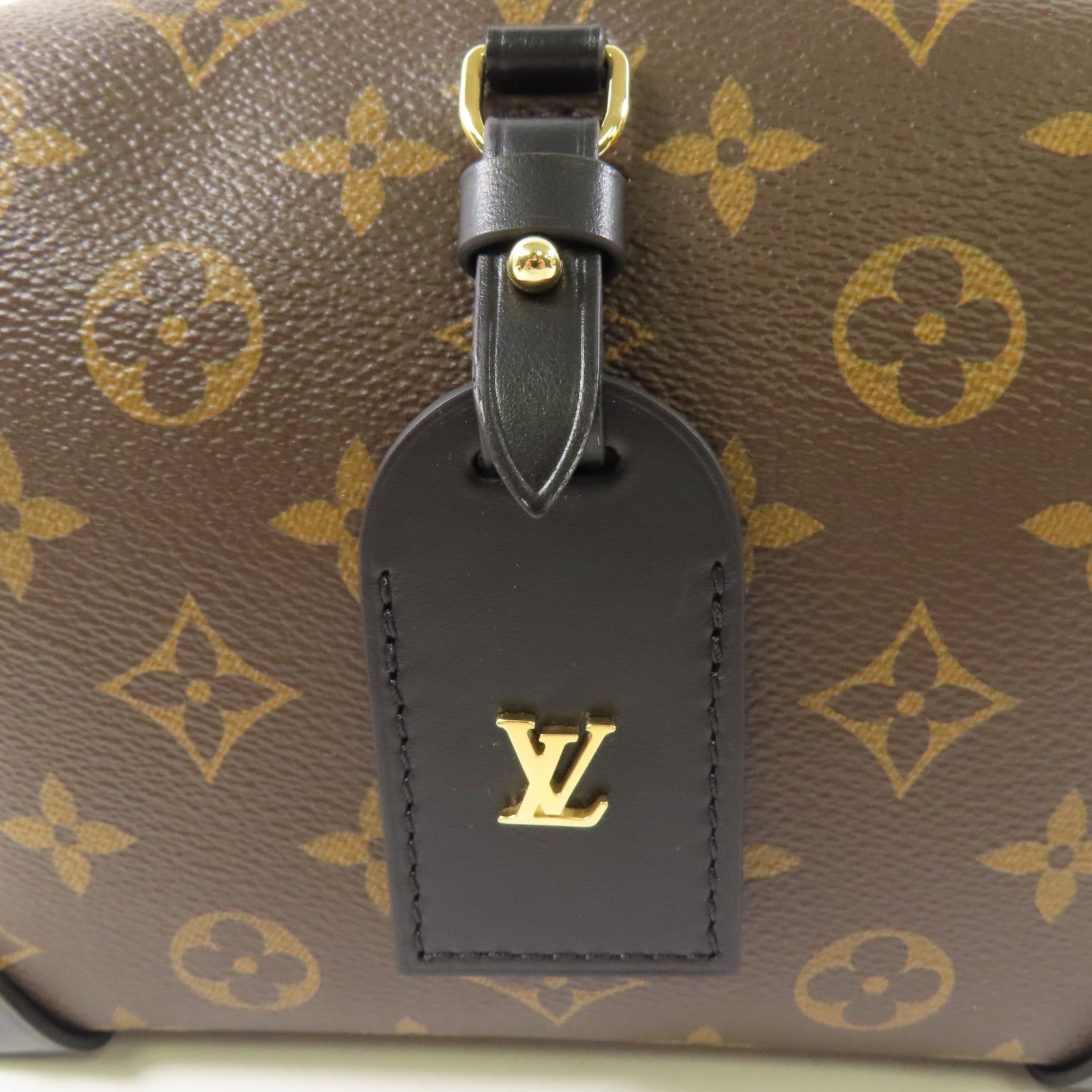 LOUIS VUITTON Monogram Petite Malle Souple金扣手挽肩背兩用袋棕色
