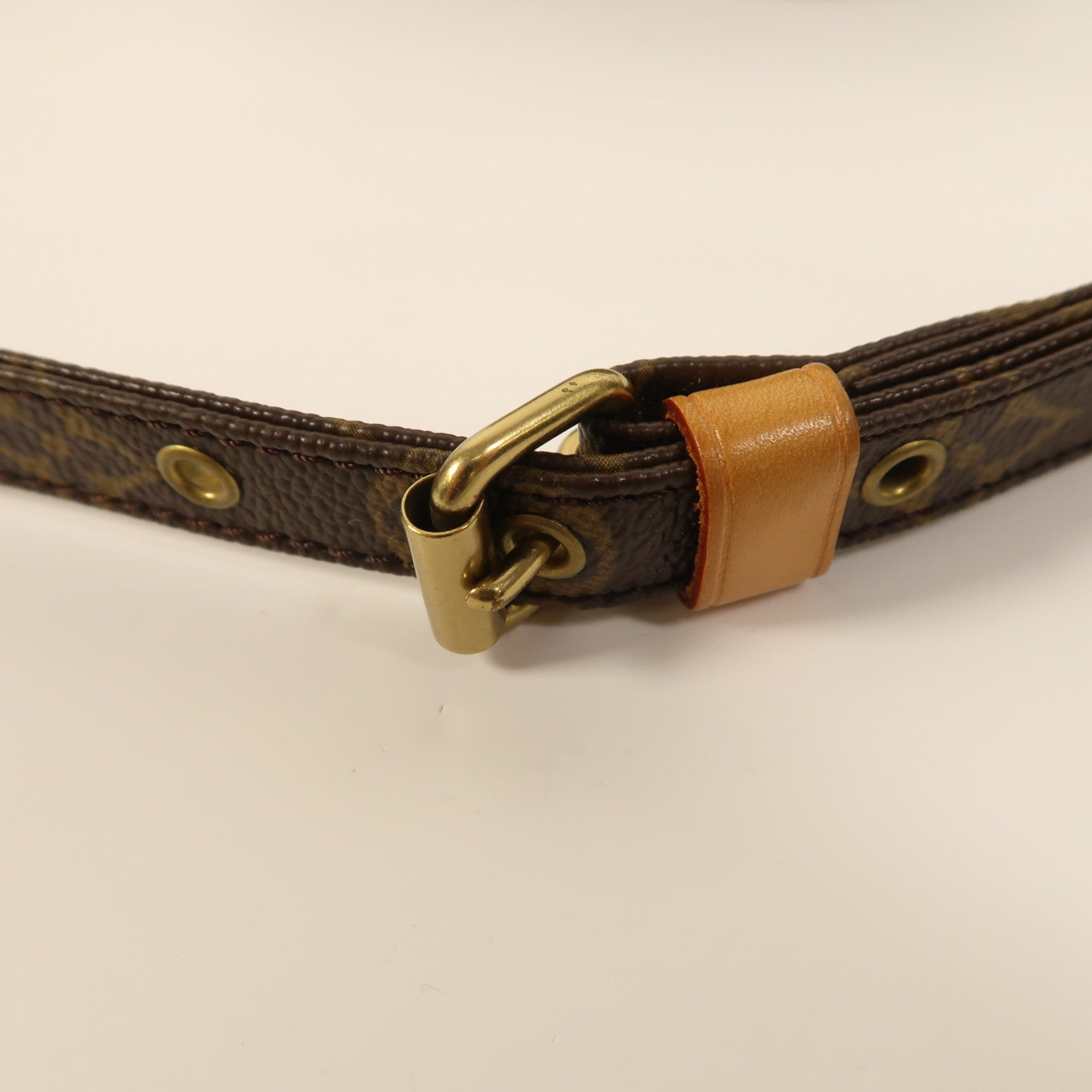 LOUIS VUITTON Monogram Amazon金扣肩背袋