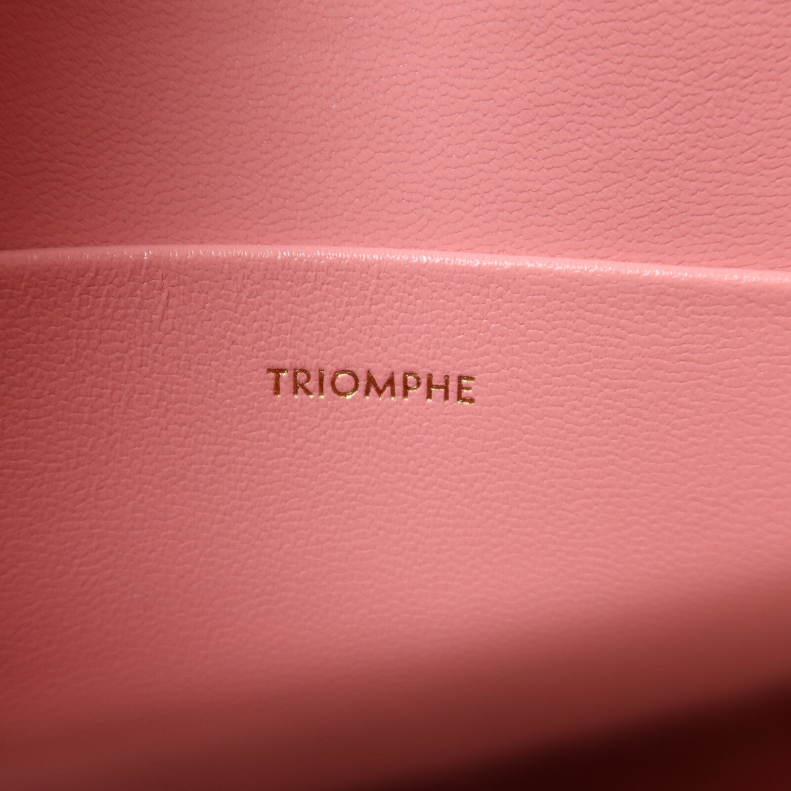 CELINE 【激減優惠】牛皮皮革Teen Triomphe金扣肩背袋