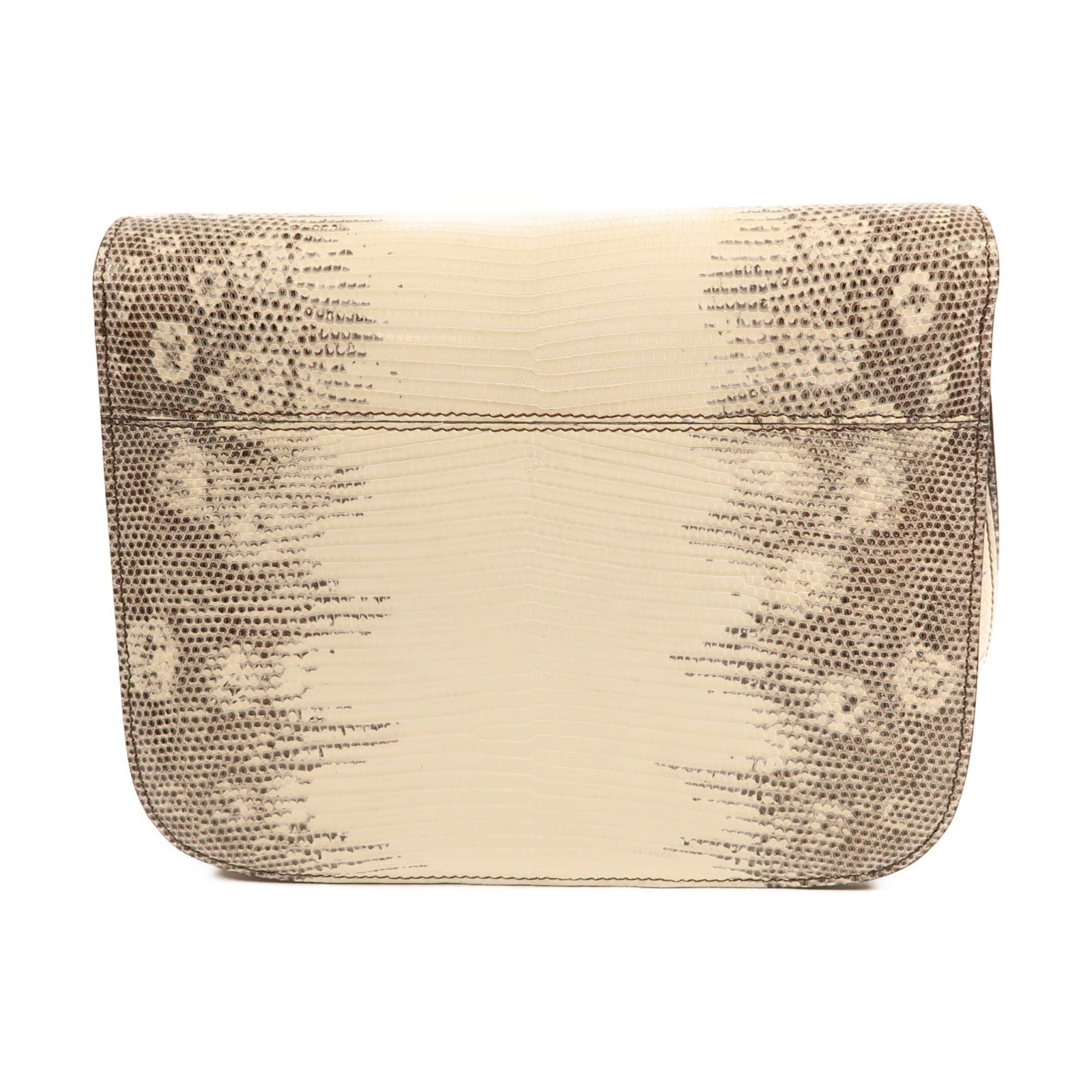 CELINE 蜥蝪皮革Classic Box金扣肩背袋