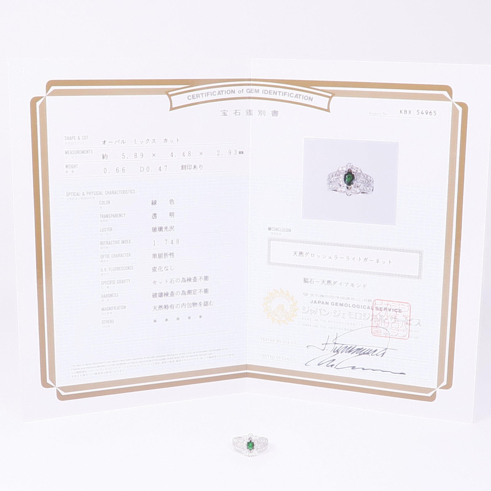 JEWELRY PT950鉑金Garnet Diamond Ring鈣鋁榴石/鑽石戒指US#7.25