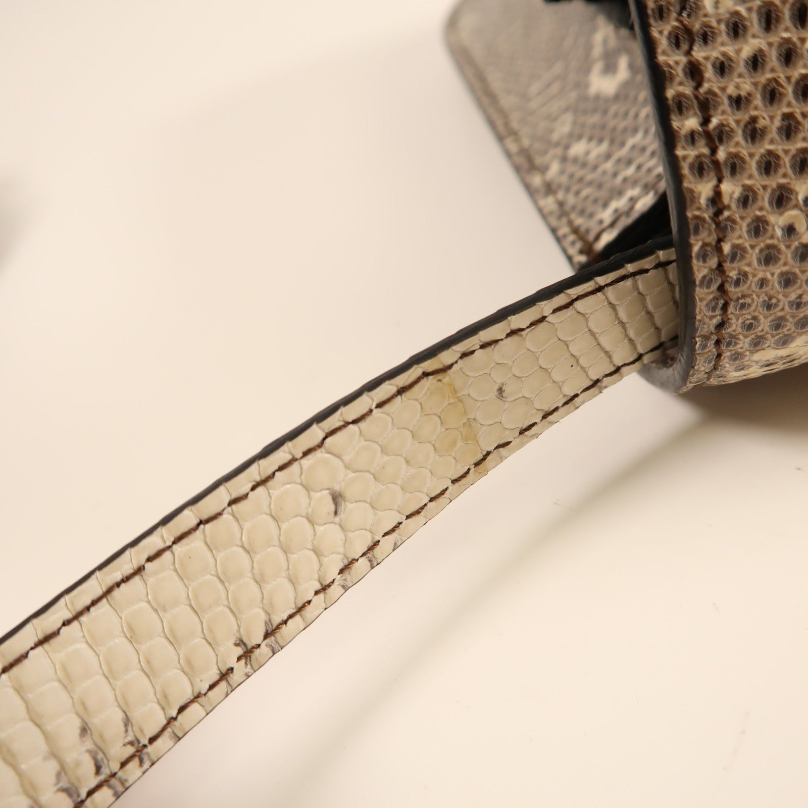 CELINE 蜥蝪皮革Classic Box金扣肩背袋