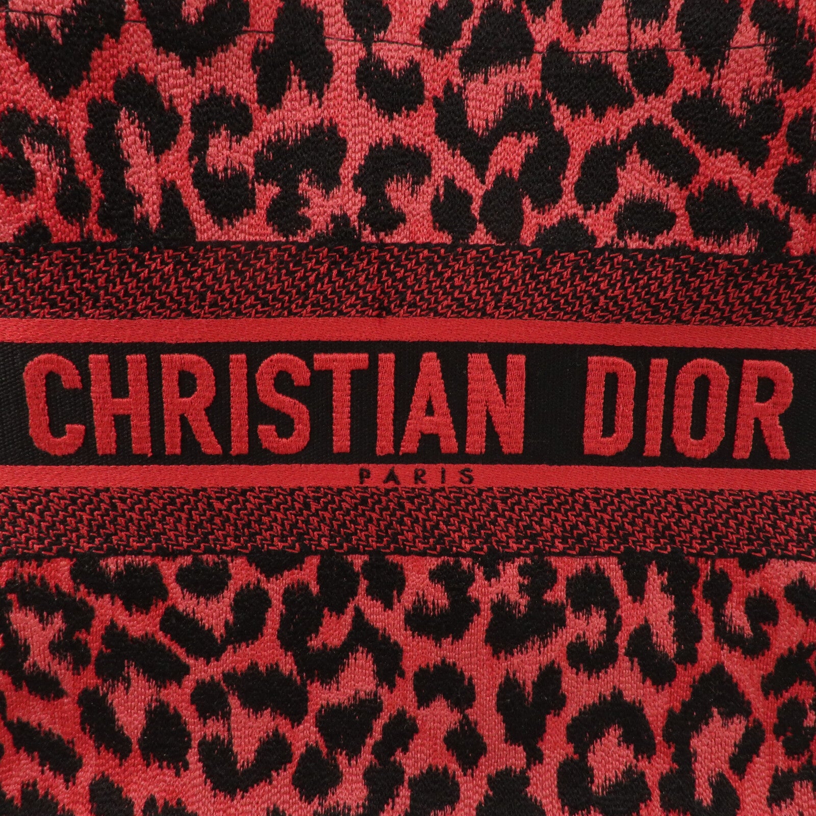 Dior 帆布Mizza Book Tote Medium手挽袋