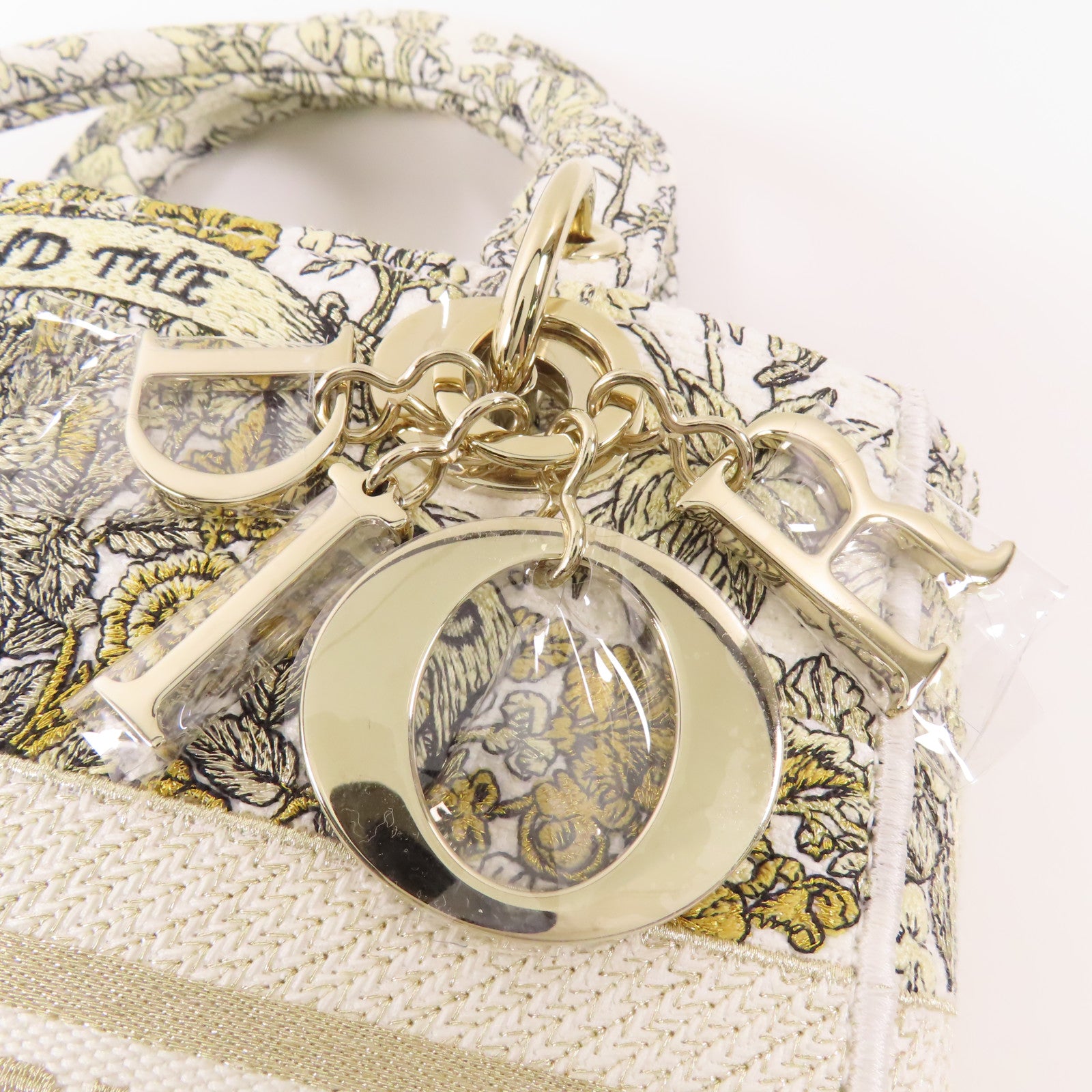 Dior 帆布Lady D-Lite銀扣手挽肩背兩用袋