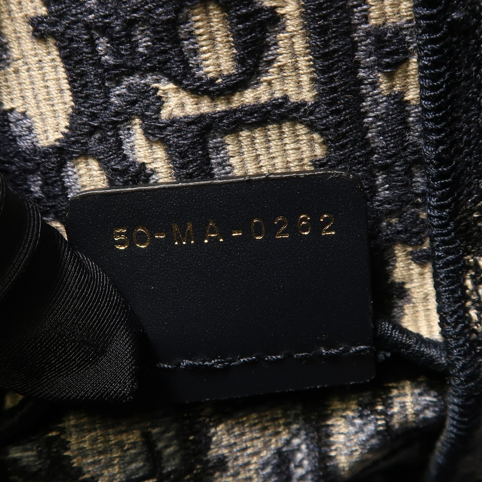 Dior 帆布Diorcamp金扣肩背袋