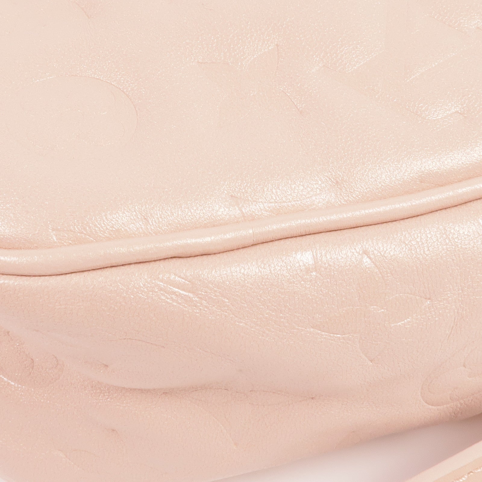 LOUIS VUITTON 羊皮皮革Sac Coeur Fall in Love Heart Box金扣肩背袋