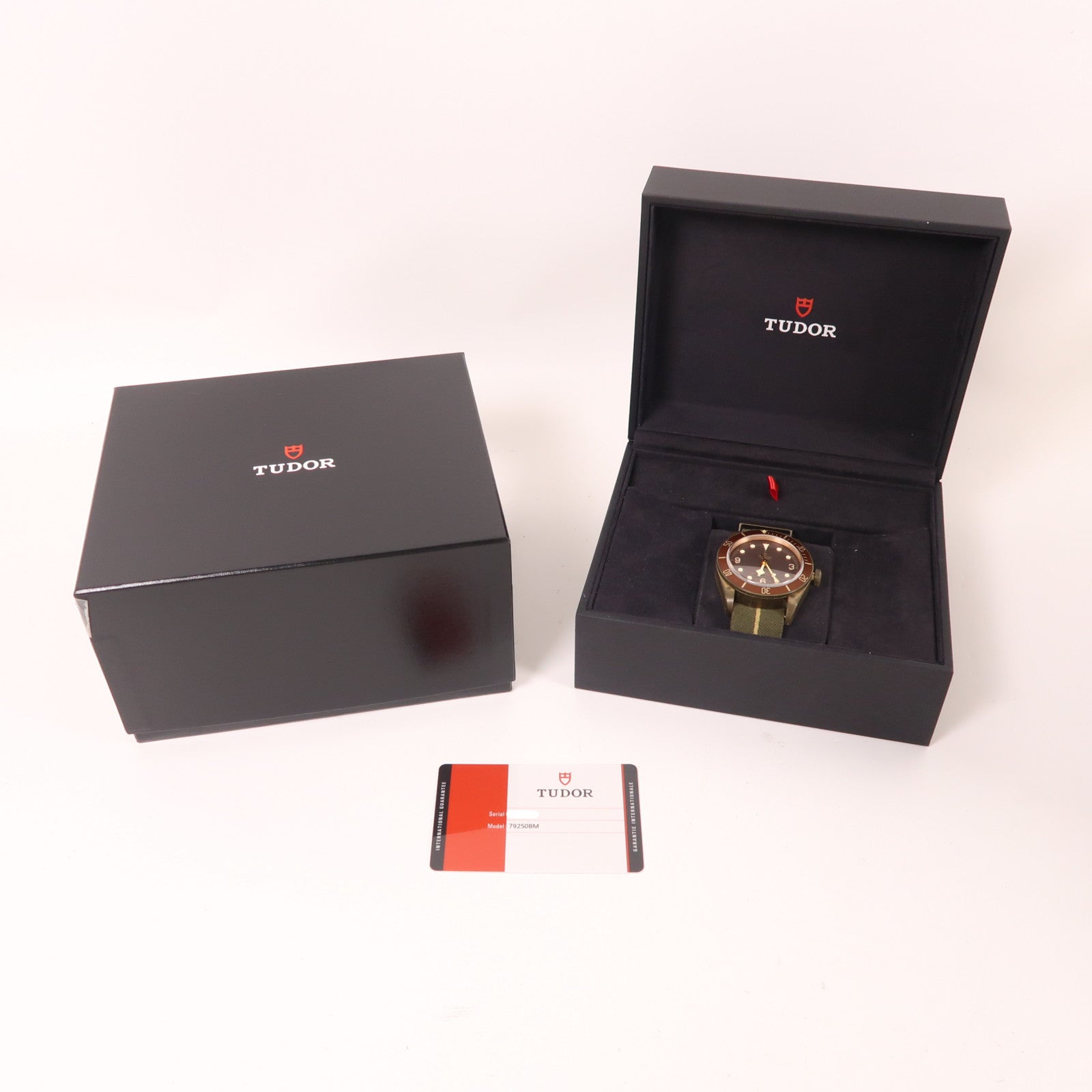 TUDOR Black Bay Bronze 79250BM