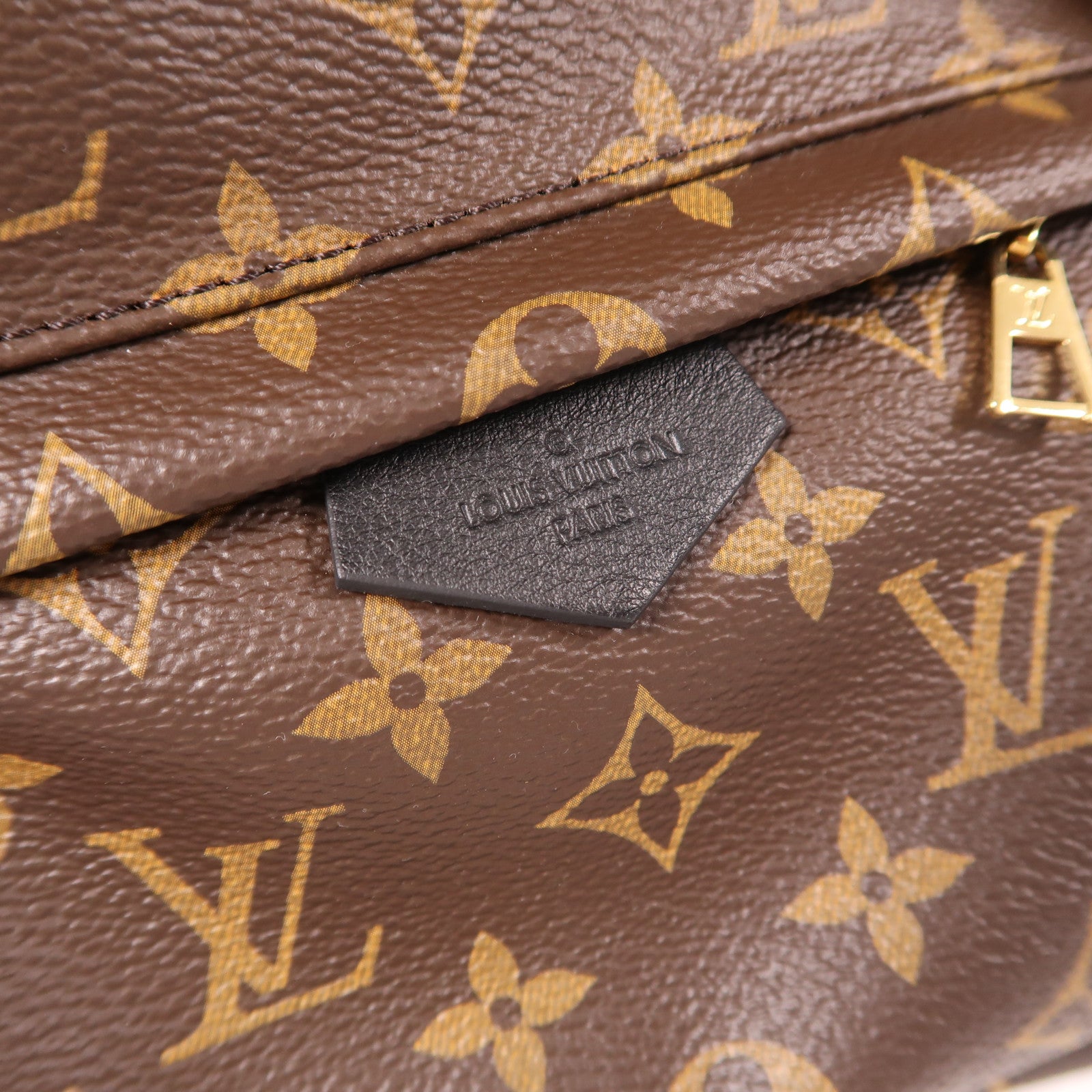 LOUIS VUITTON Monogram Palm Springs PM金扣背包