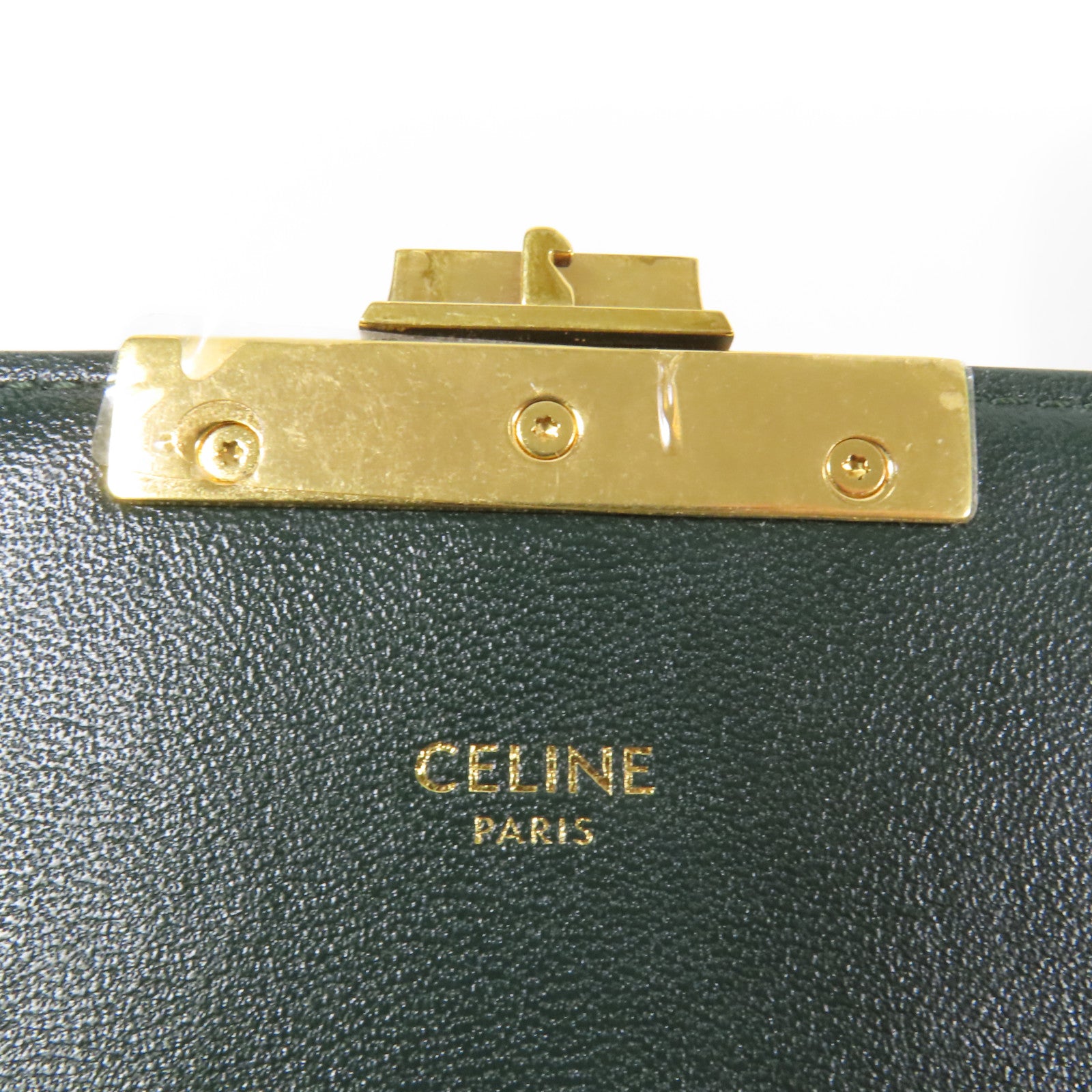 CELINE 蛇皮皮革Teen Triomphe Bag金扣肩背袋