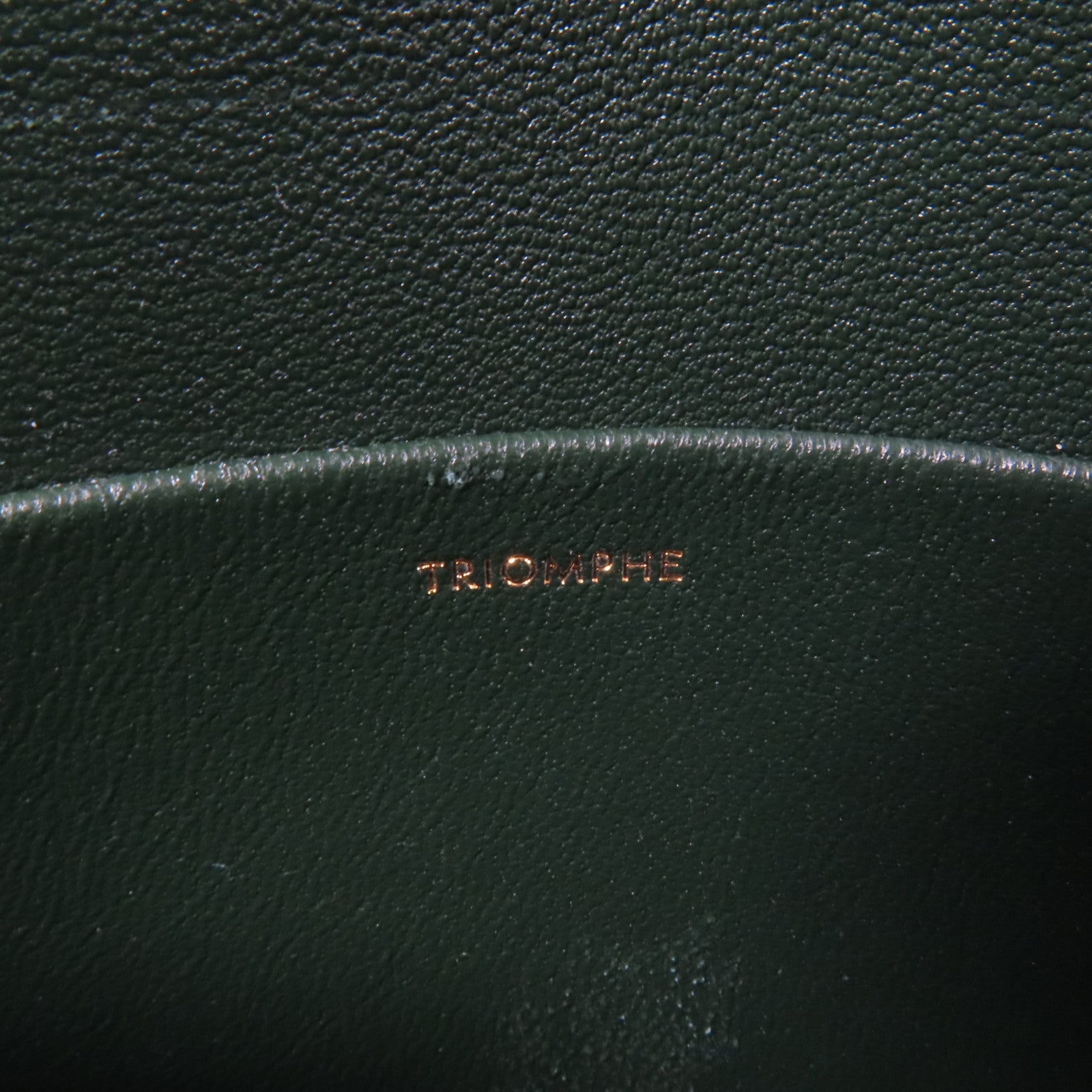 CELINE 蛇皮皮革Teen Triomphe Bag金扣肩背袋