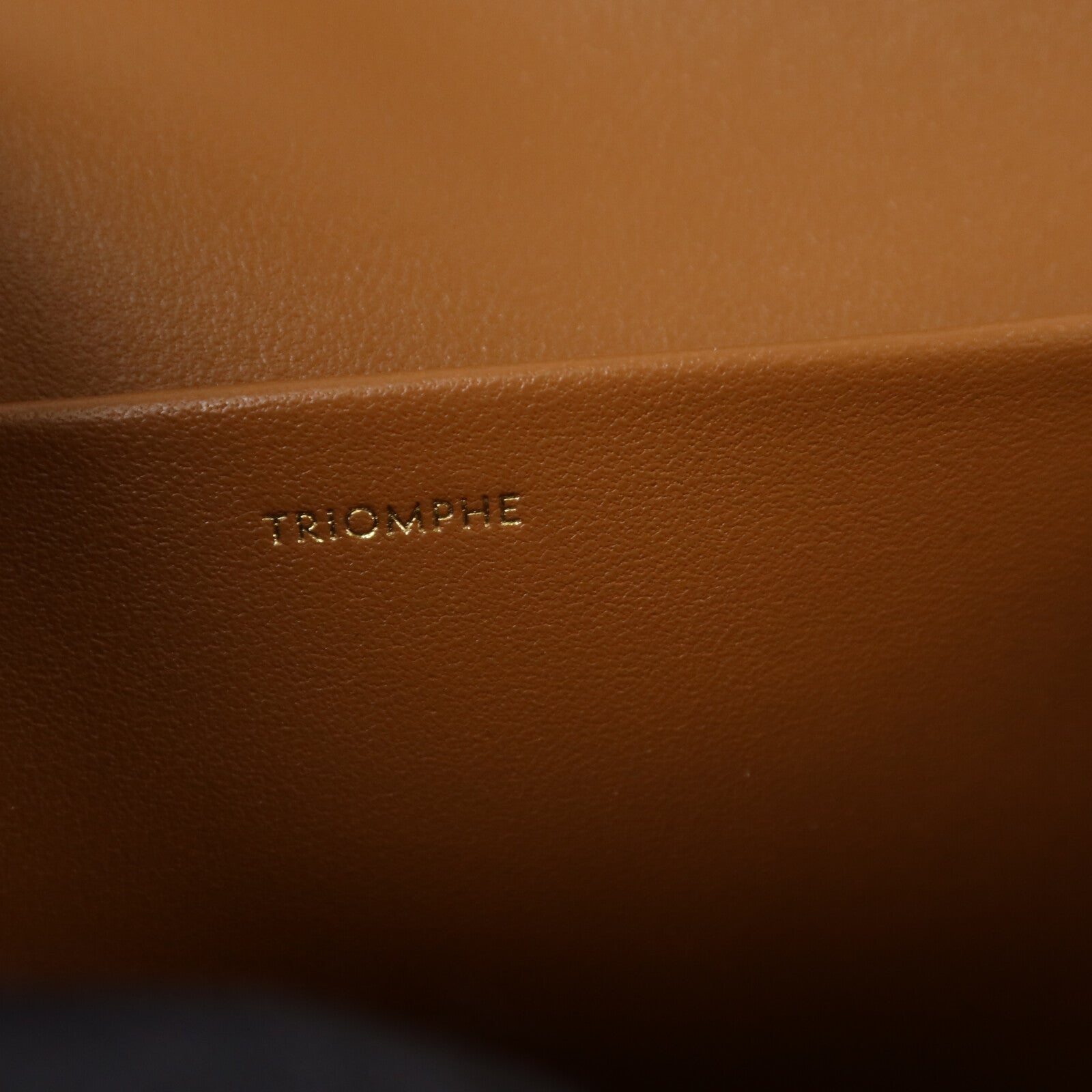 CELINE 牛皮皮革Caude肩背袋