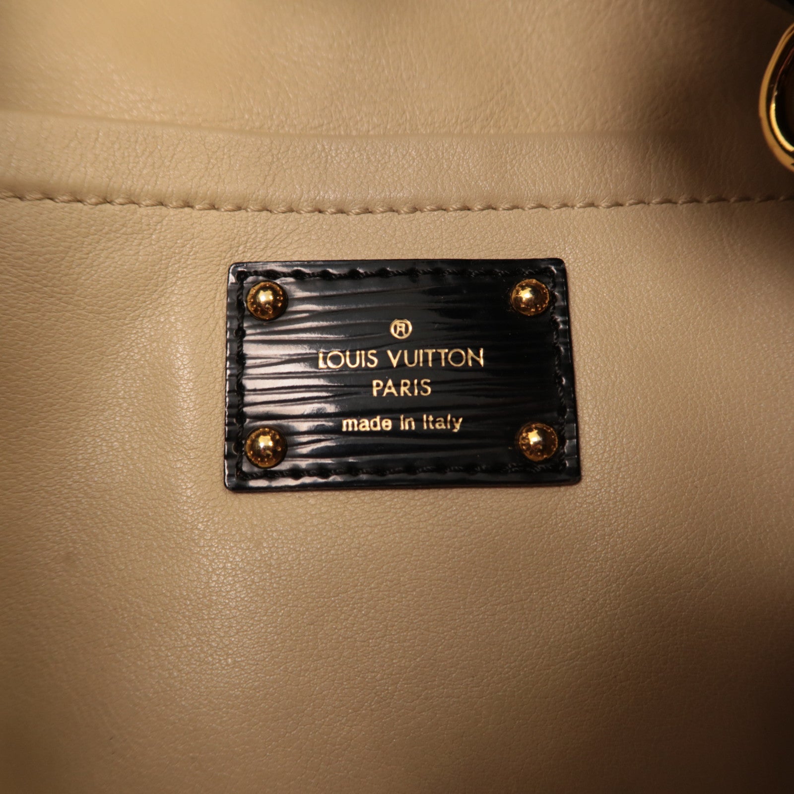 LOUIS VUITTON Monogram Envinil Squishy金扣肩背袋棕色/黑色