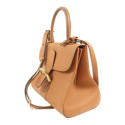 Delvaux 牛皮皮革Brillant MM金扣手挽肩背兩用袋