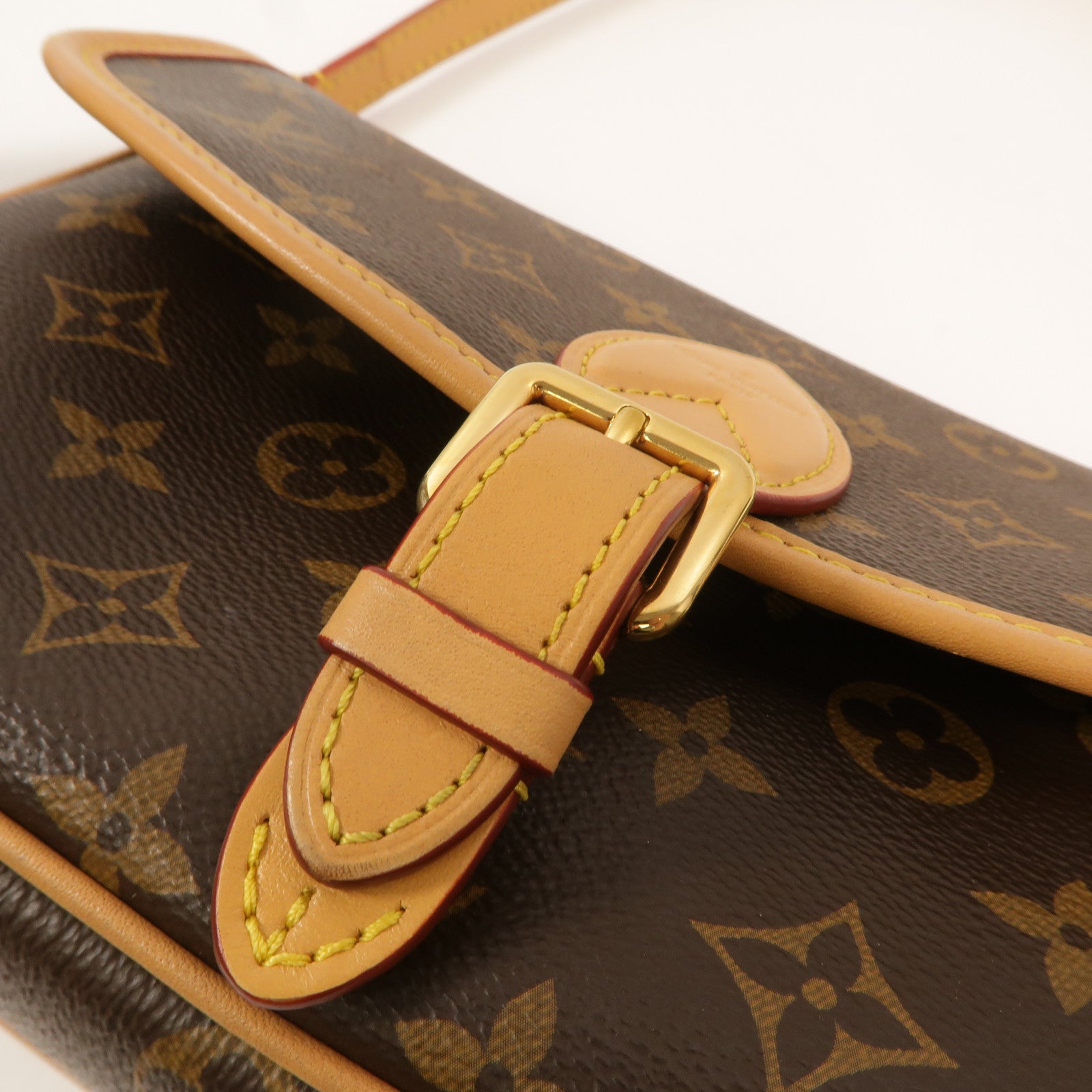 LOUIS VUITTON Monogram Diane肩背袋