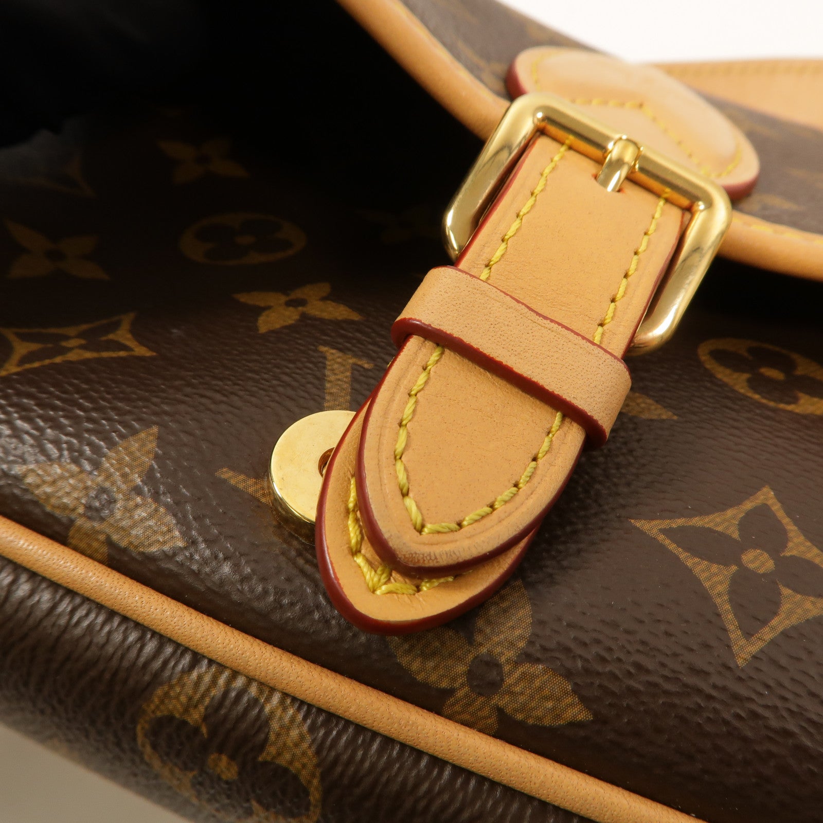 LOUIS VUITTON Monogram Diane肩背袋