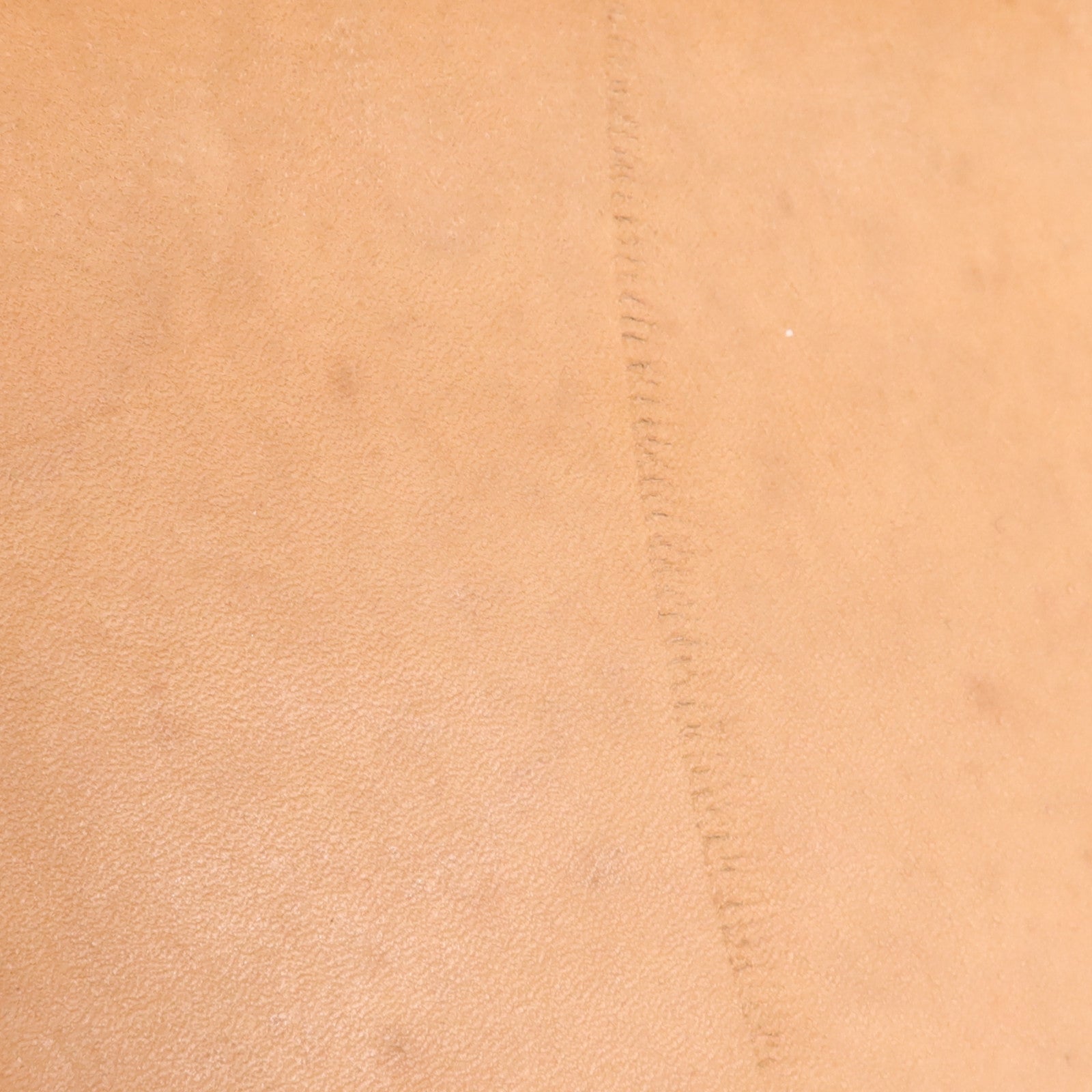 LOUIS VUITTON Monogram Cabas Mezzo金扣肩背袋