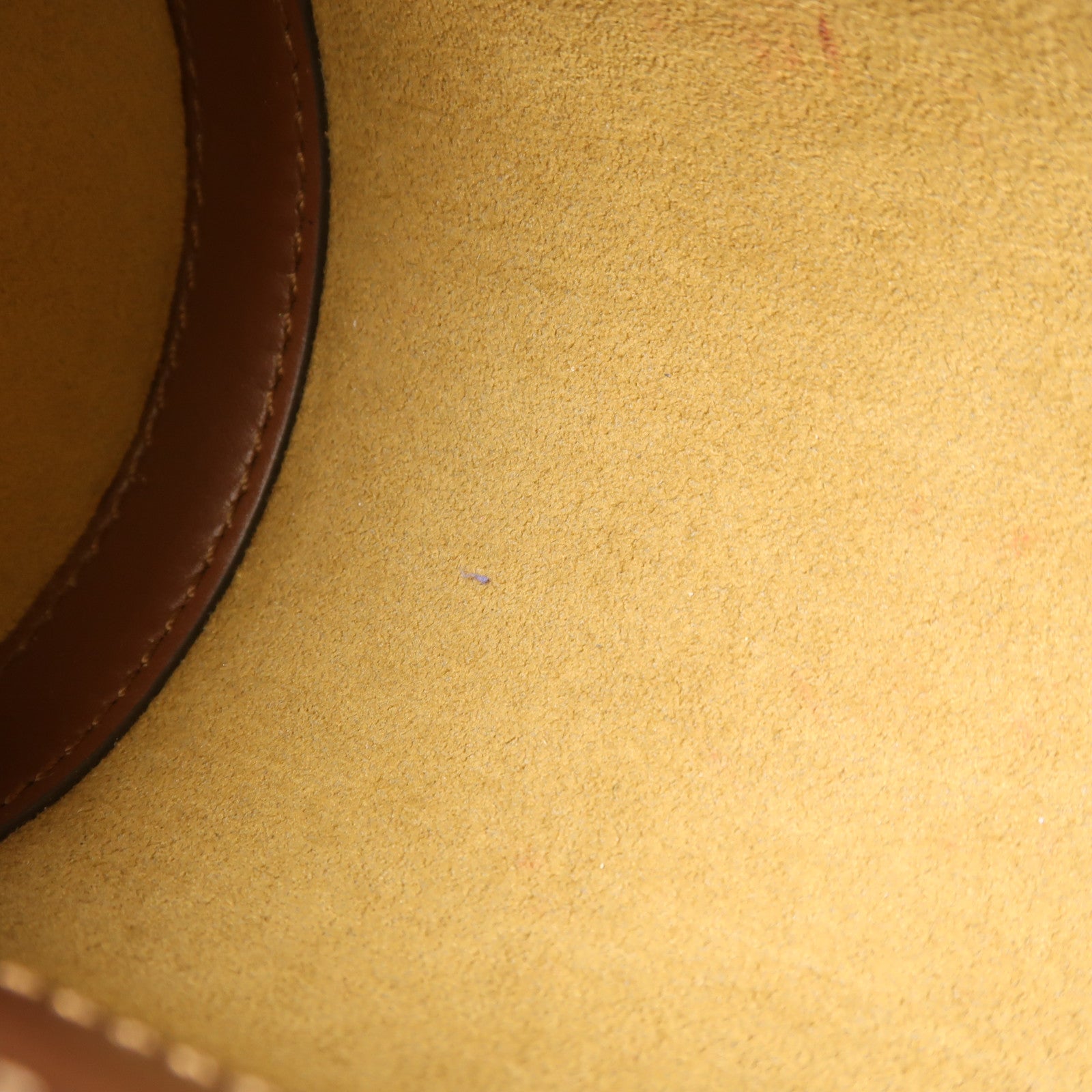 LOUIS VUITTON Monogram Papillon Trunk金扣手挽肩背兩用袋棕色