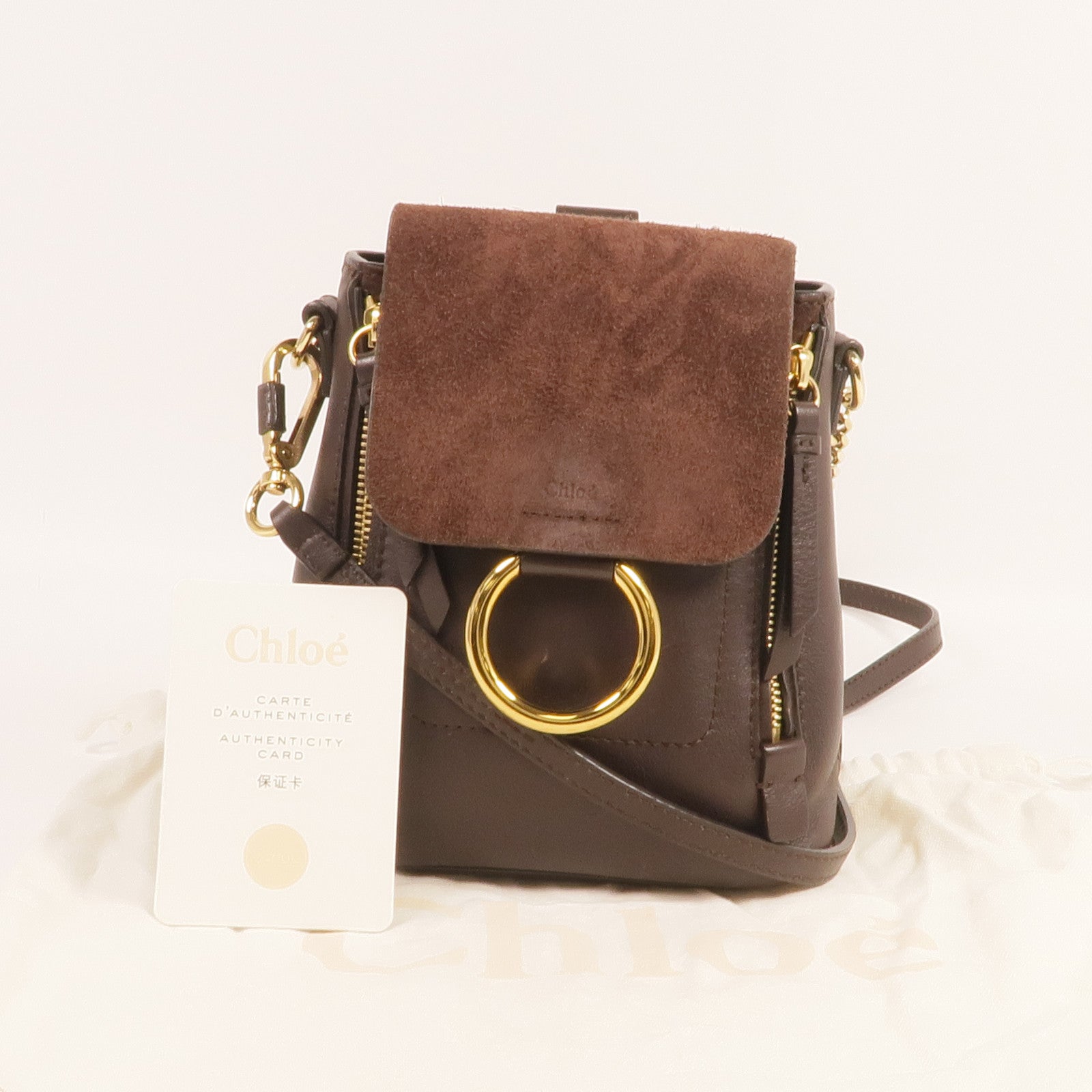 Chloe 牛皮皮革/麂皮皮革Faye Backpack金扣背包肩背兩用袋