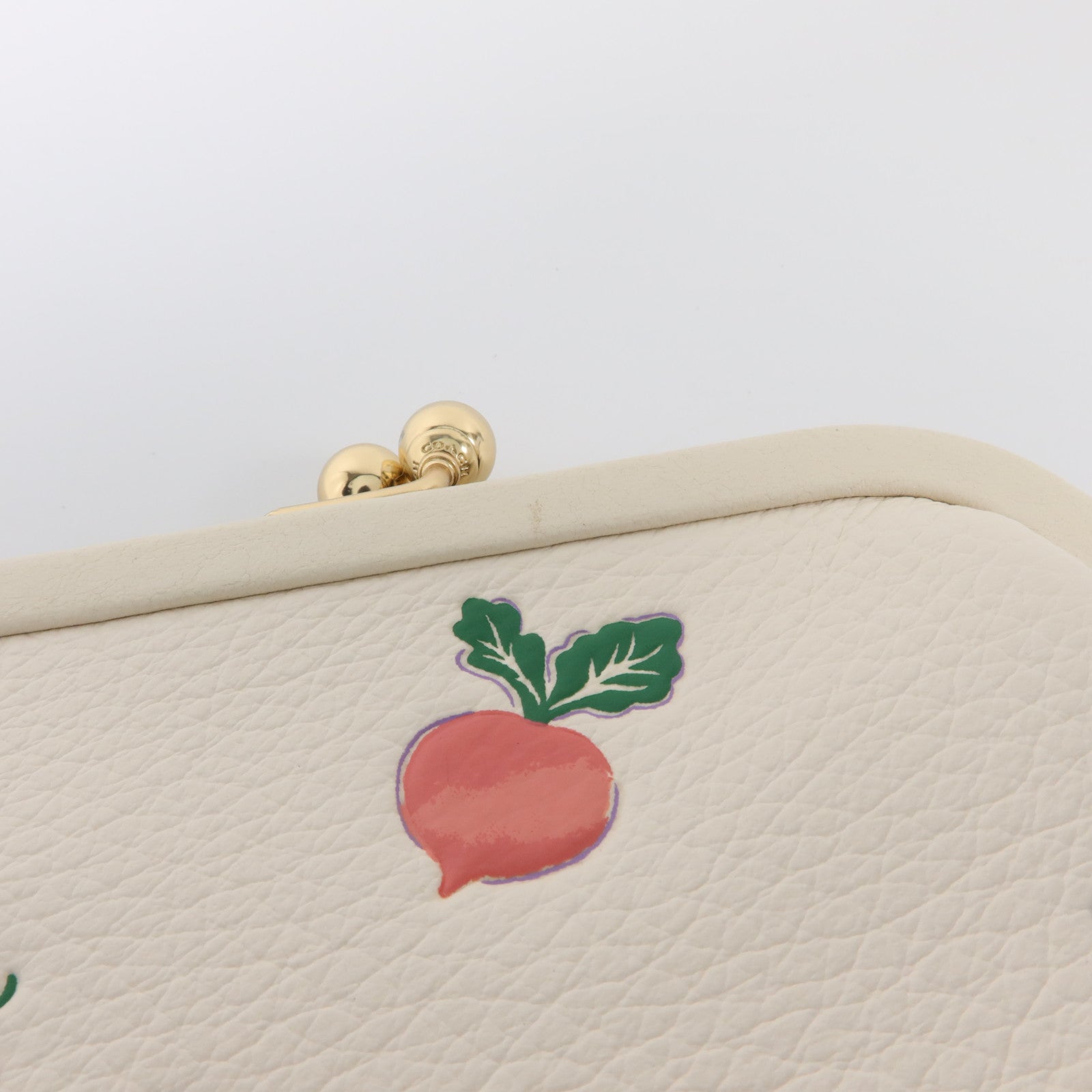 COACH 皮革Nora Kisslock Coin Purse零錢包