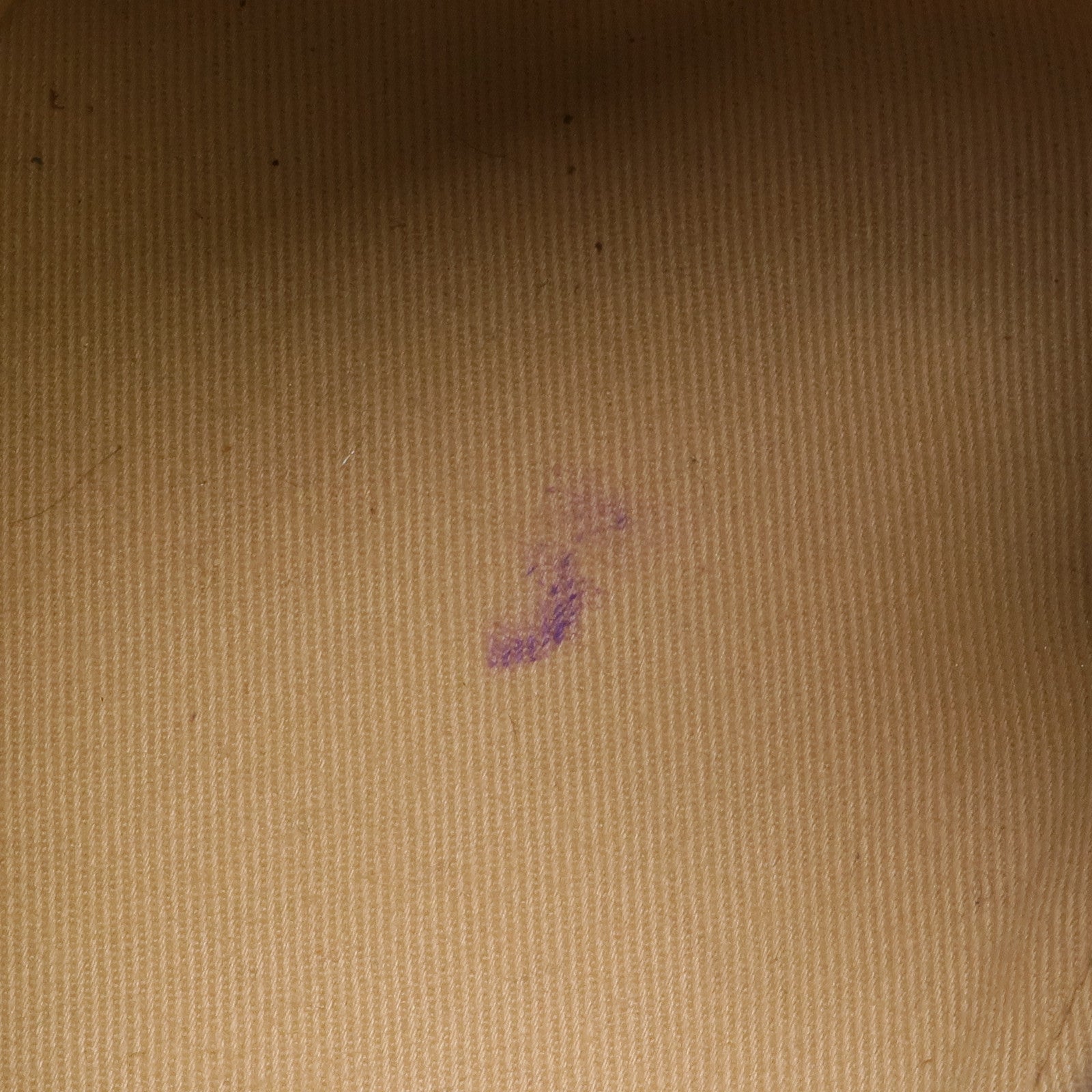 Chloe 牛皮皮革/麂皮皮革Faye Backpack金扣背包肩背兩用袋