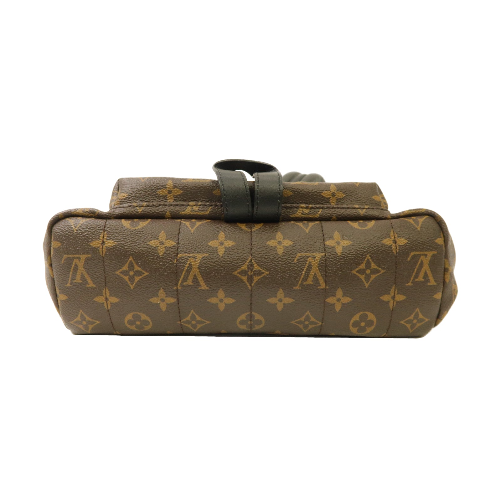 LOUIS VUITTON Monogram Palm Springs MM金扣背包