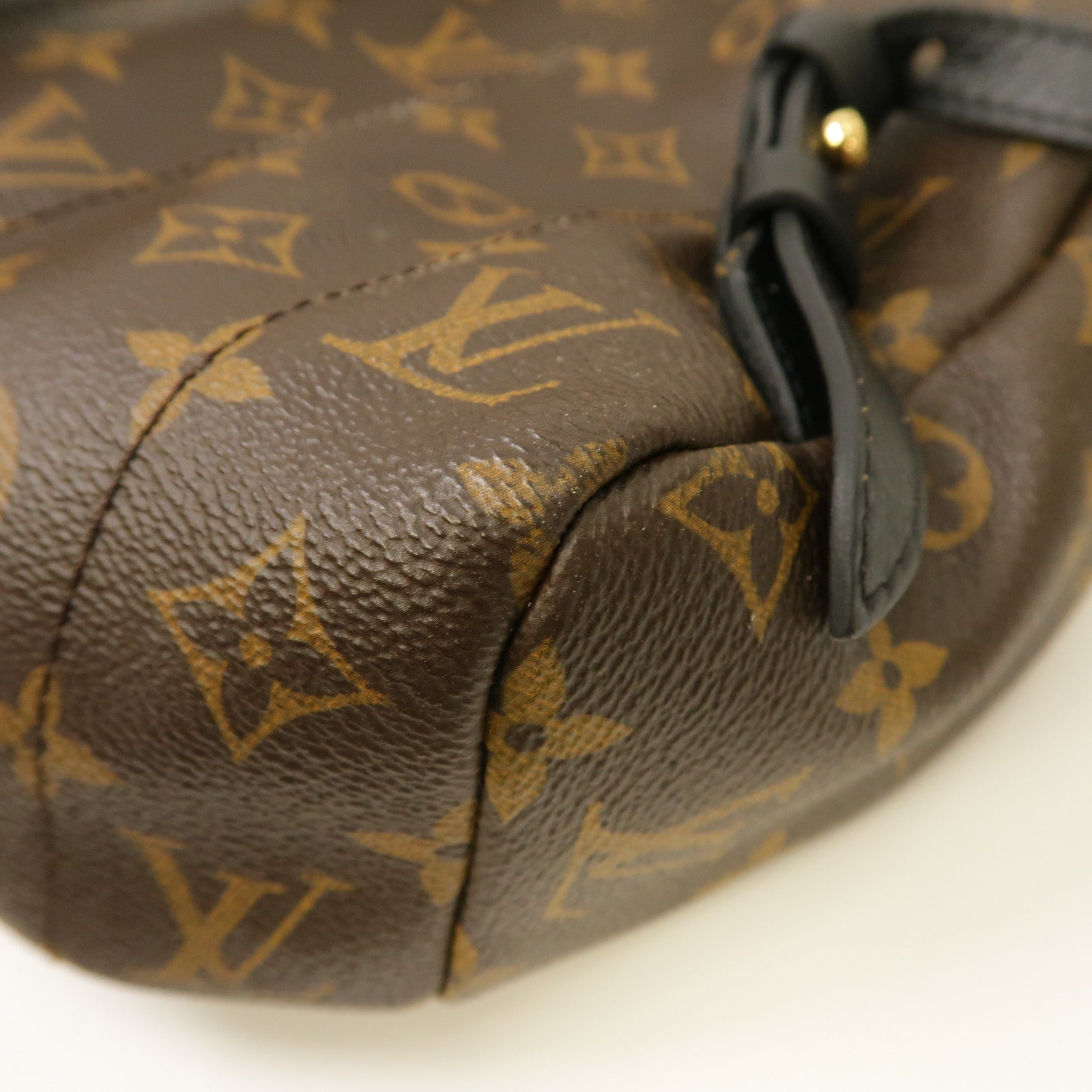 LOUIS VUITTON Monogram Palm Springs MM金扣背包