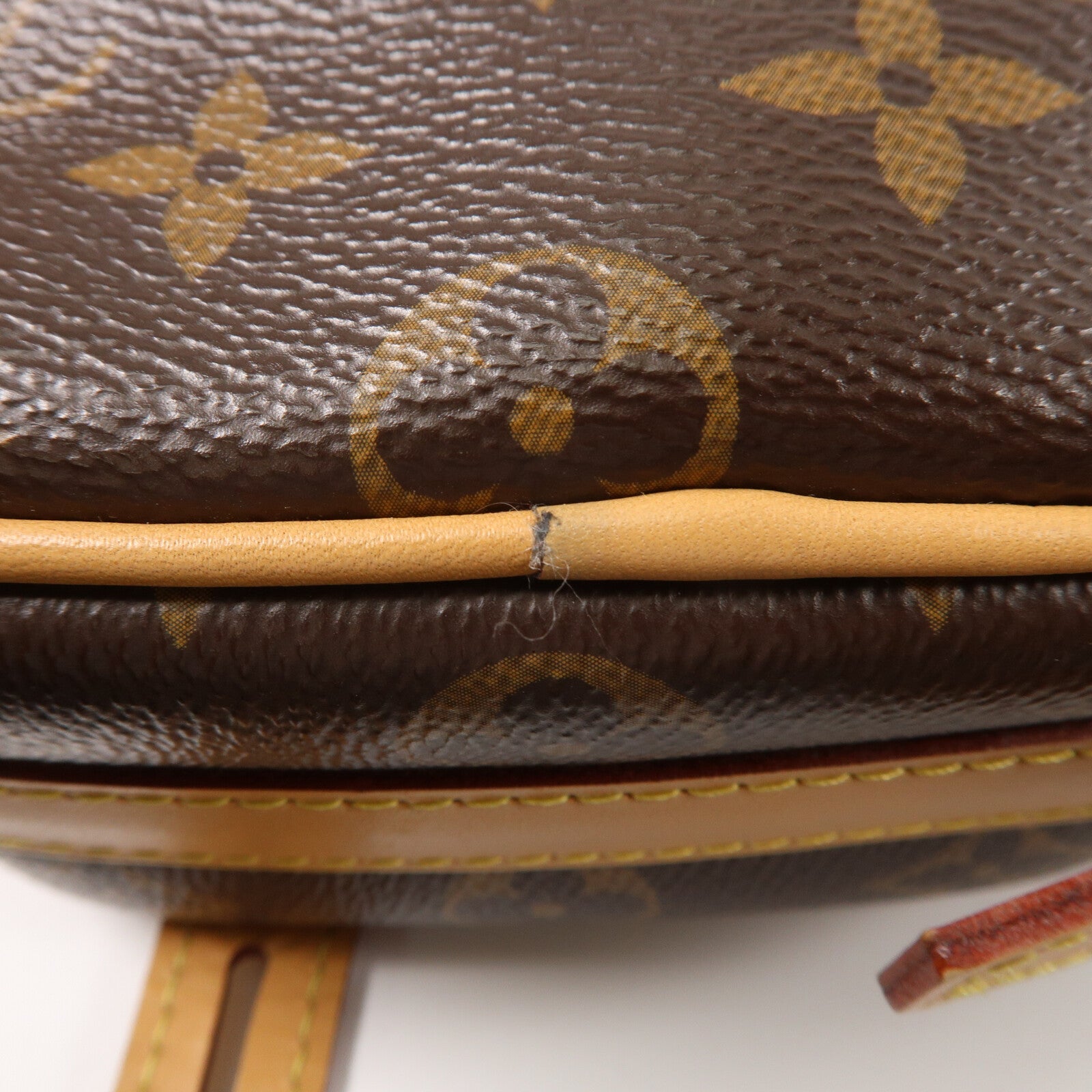 LOUIS VUITTON Monogram Boite Chapeau Souple PM肩背袋