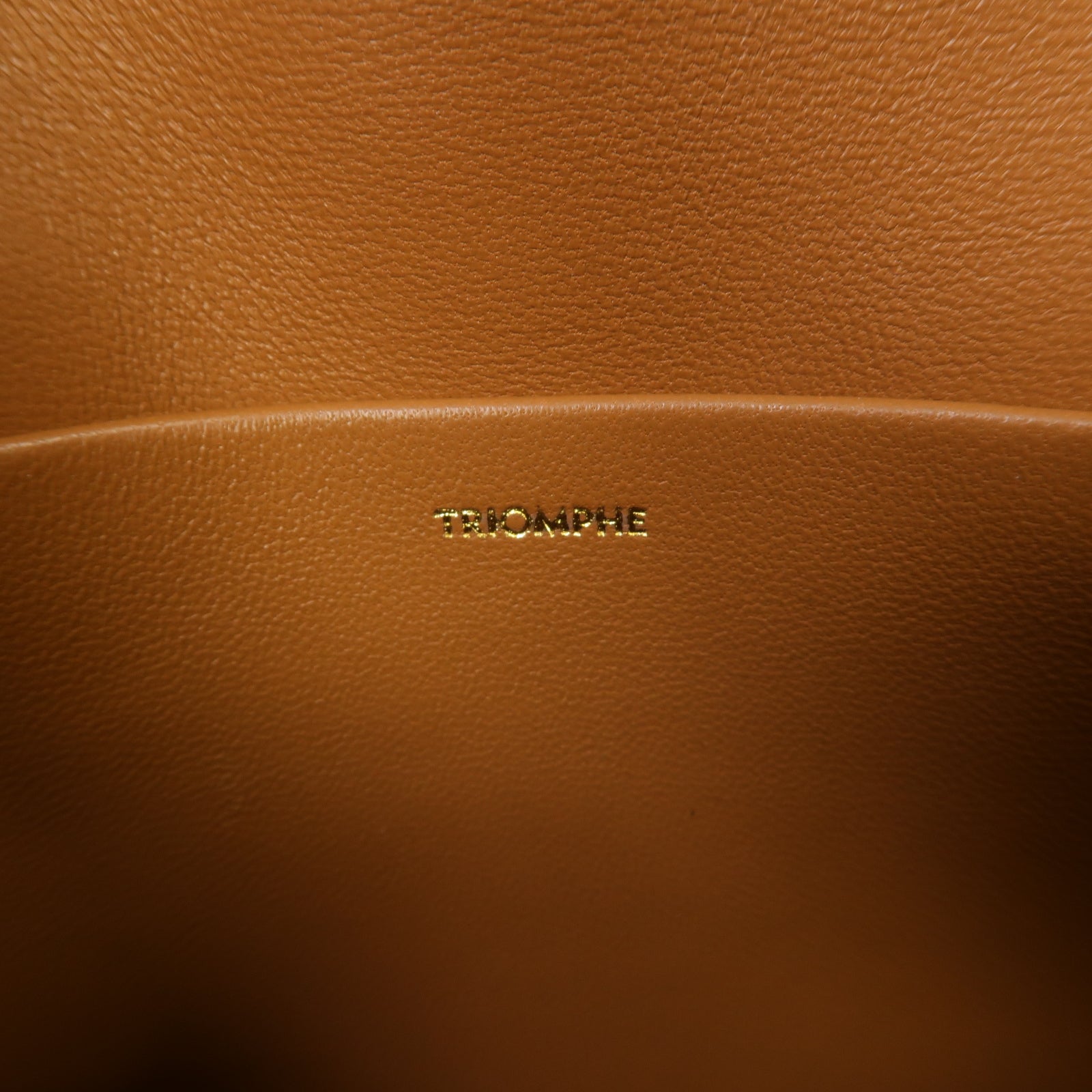 CELINE 牛皮皮革Claude金扣肩背袋棕色