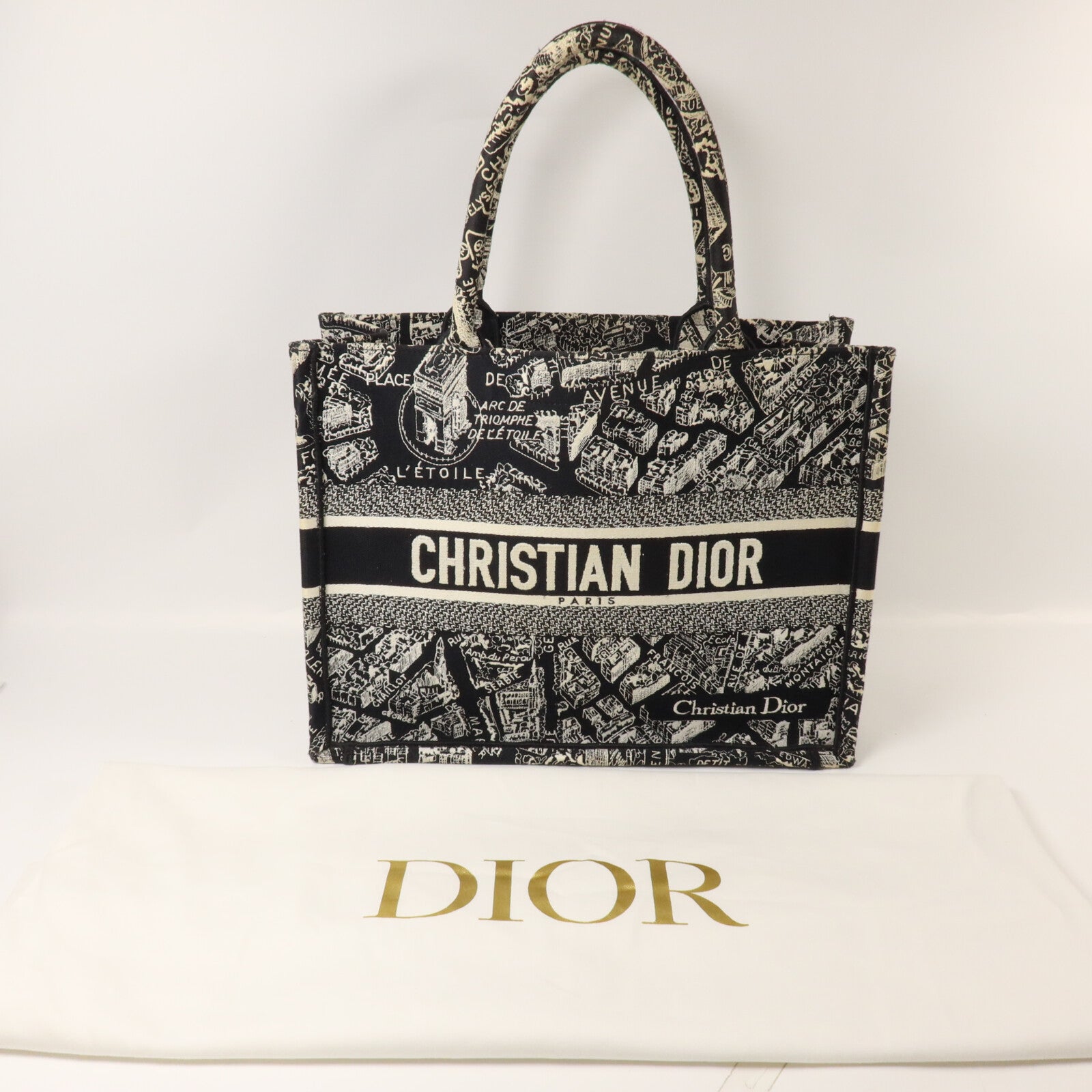 Dior 帆布Book Tote Medium手挽袋