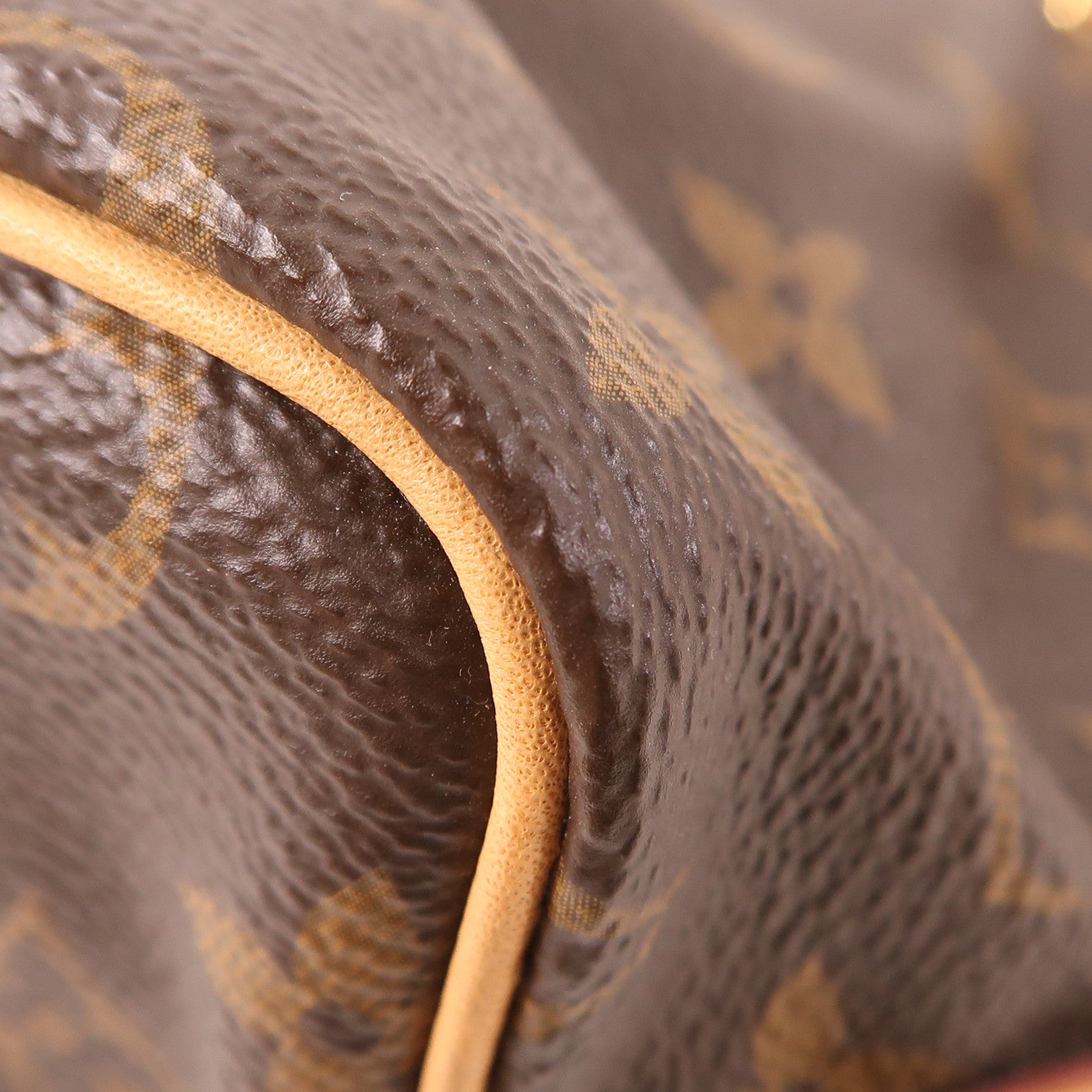 LOUIS VUITTON Monogram Nano Noe金扣肩背袋