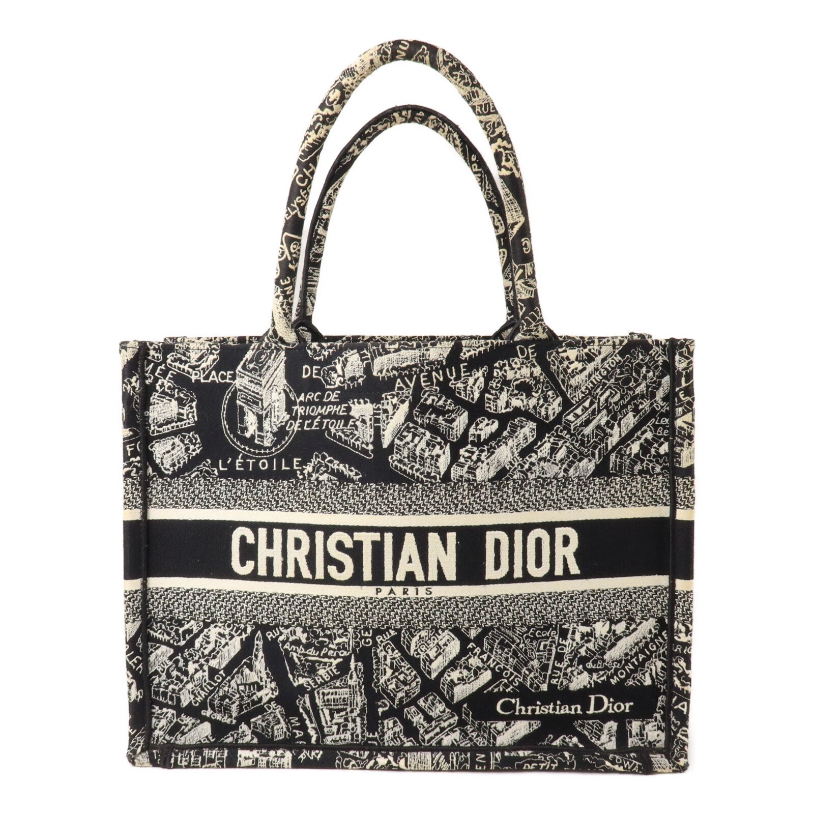 Dior 帆布Book Tote Medium手挽袋